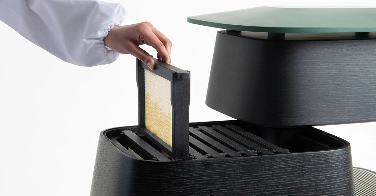 HOST，hive，industrial design，product design，