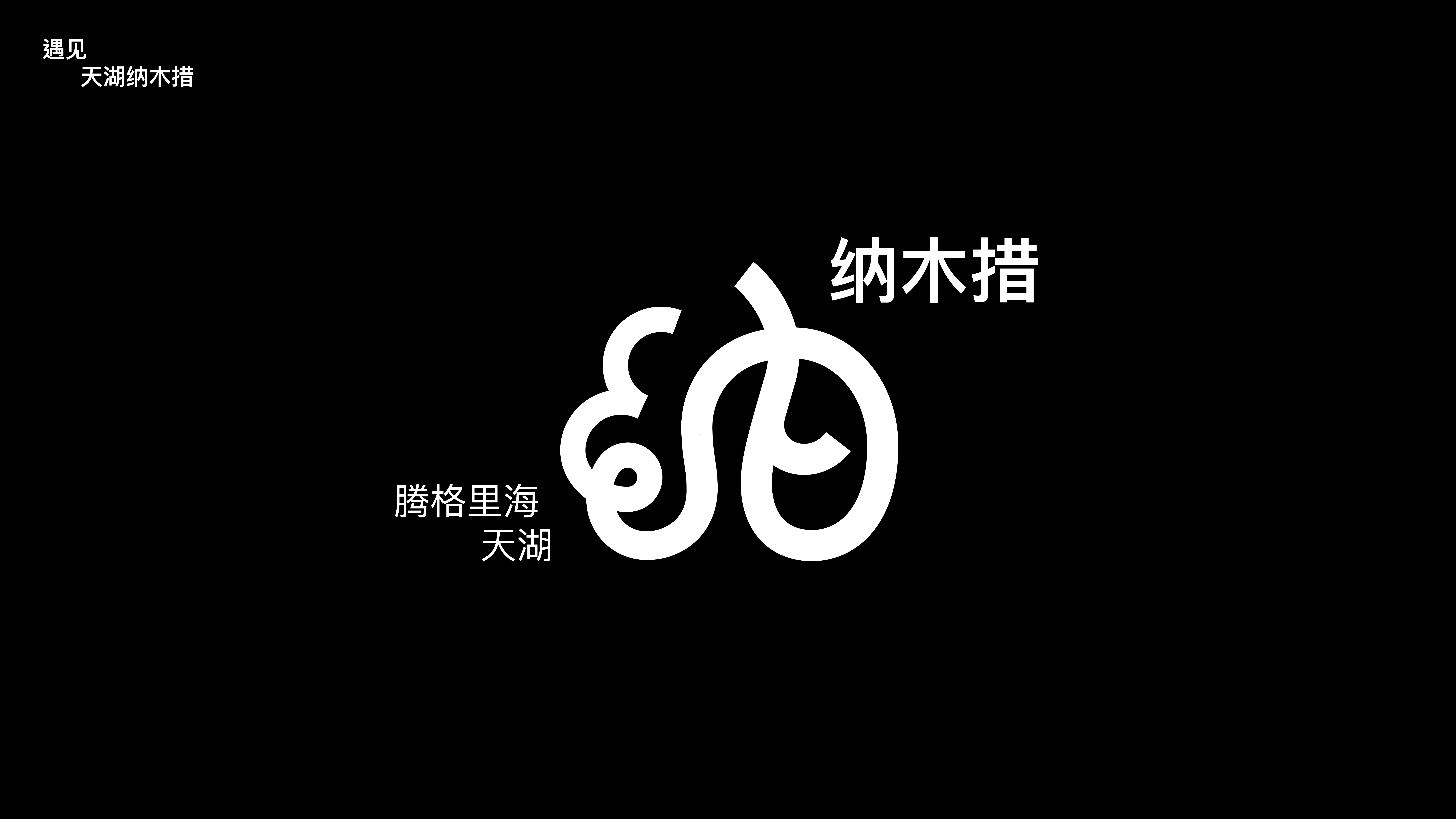 Namtso，Lake Beach，Logo design，Font design，Original design，national culture，Brand design，Visual recognition，