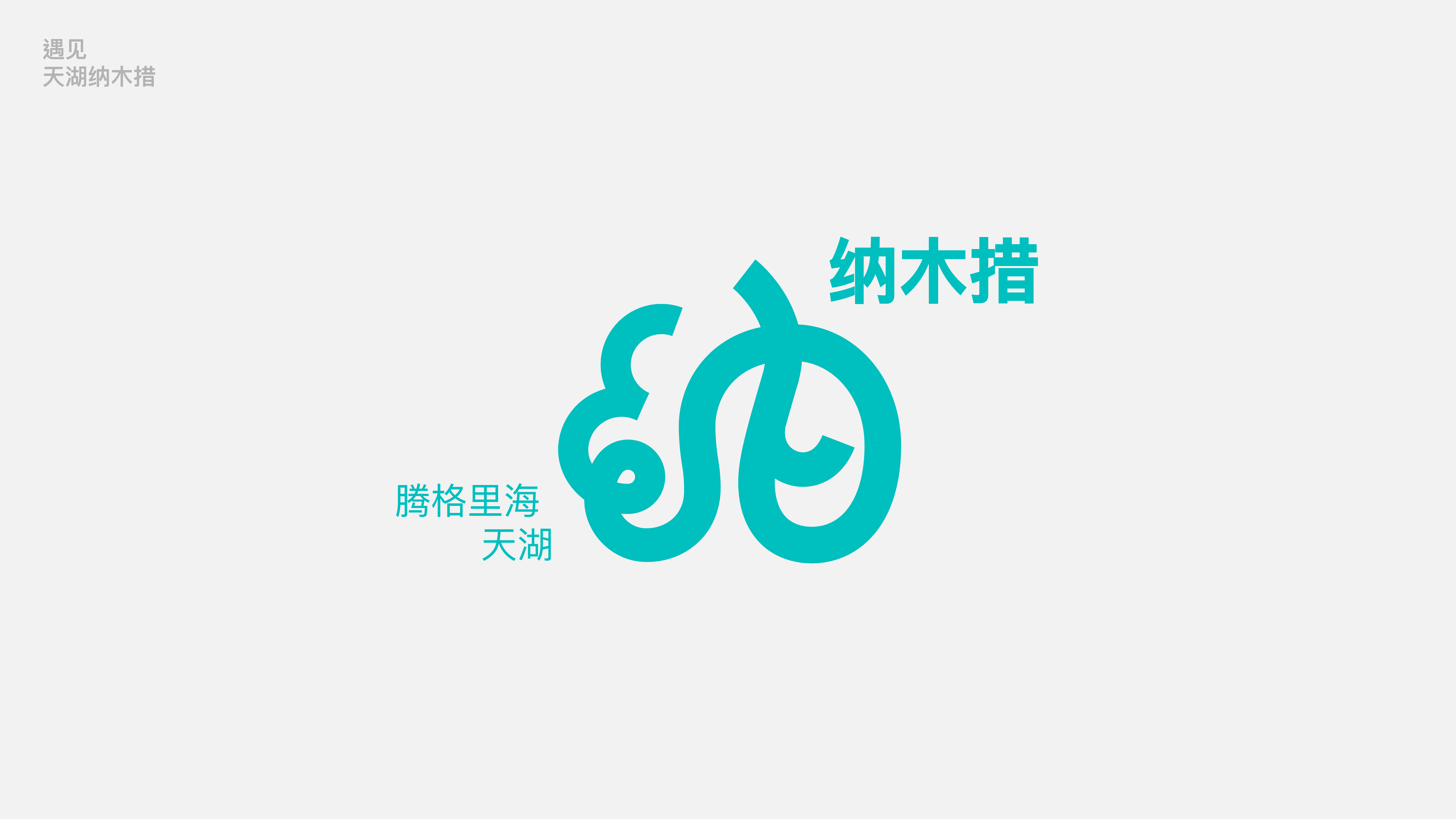 Namtso，Lake Beach，Logo design，Font design，Original design，national culture，Brand design，Visual recognition，