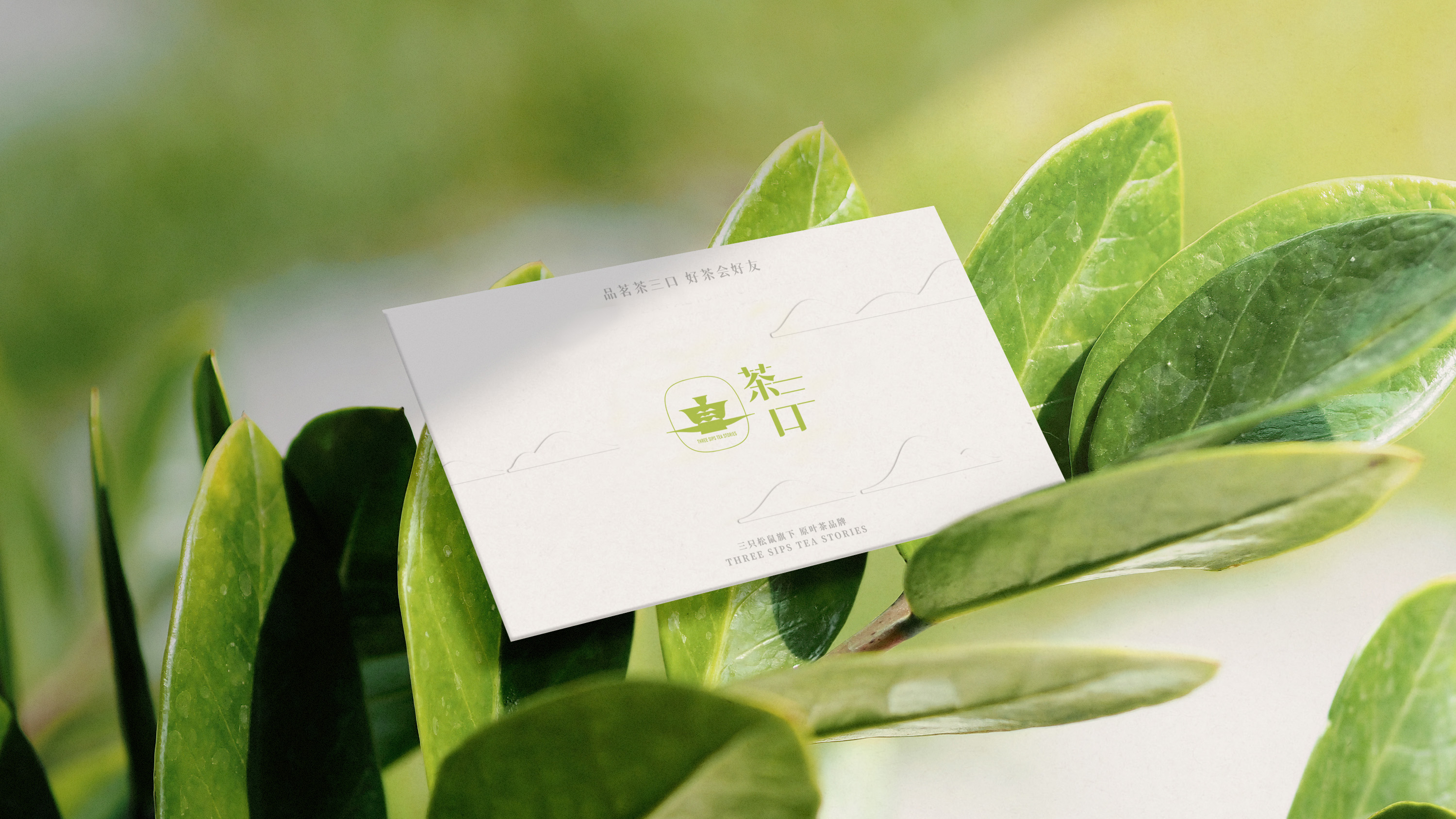 Brand design，Original design，packing design，Graphic Artist Designer，Structural design，Dynamic design，Logo design，Three Squirrels，