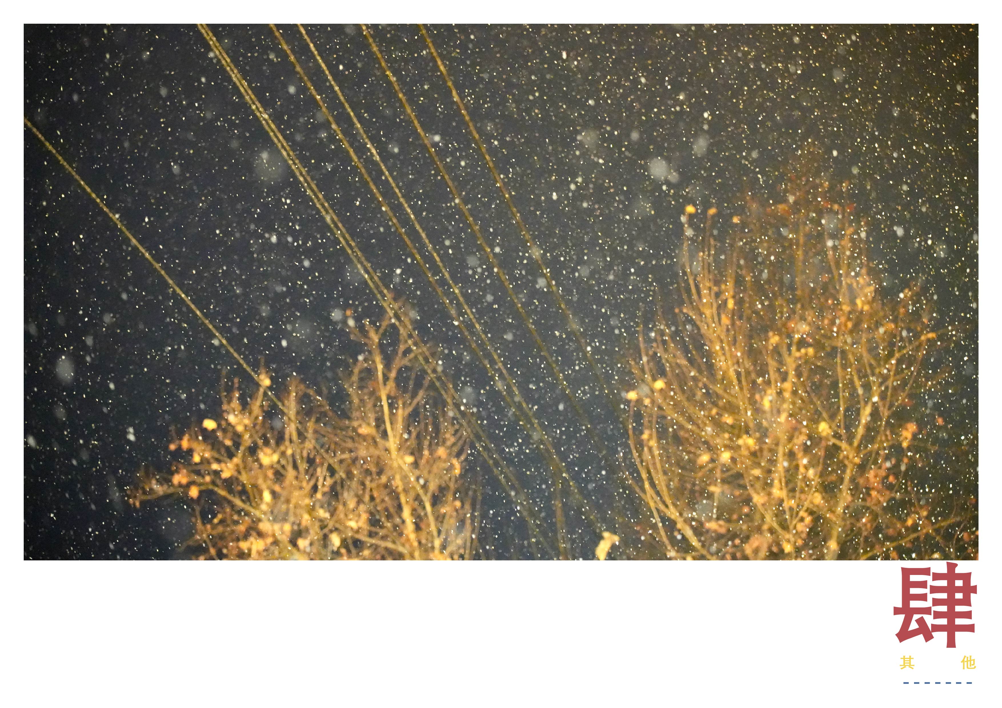 product design，Industrial Design Collection (Wide Web Edition)，