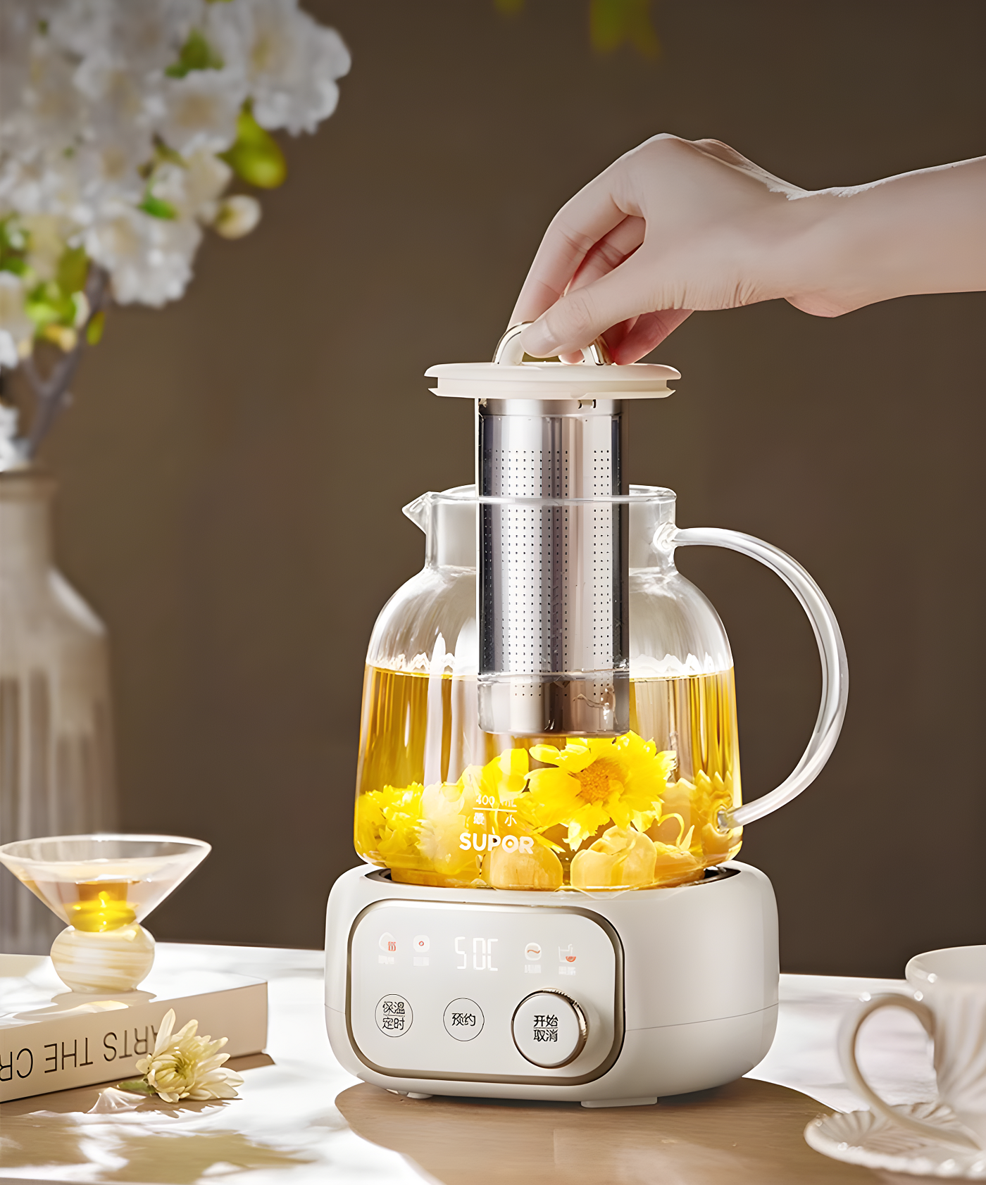 Health pot，small home appliances，glass style，