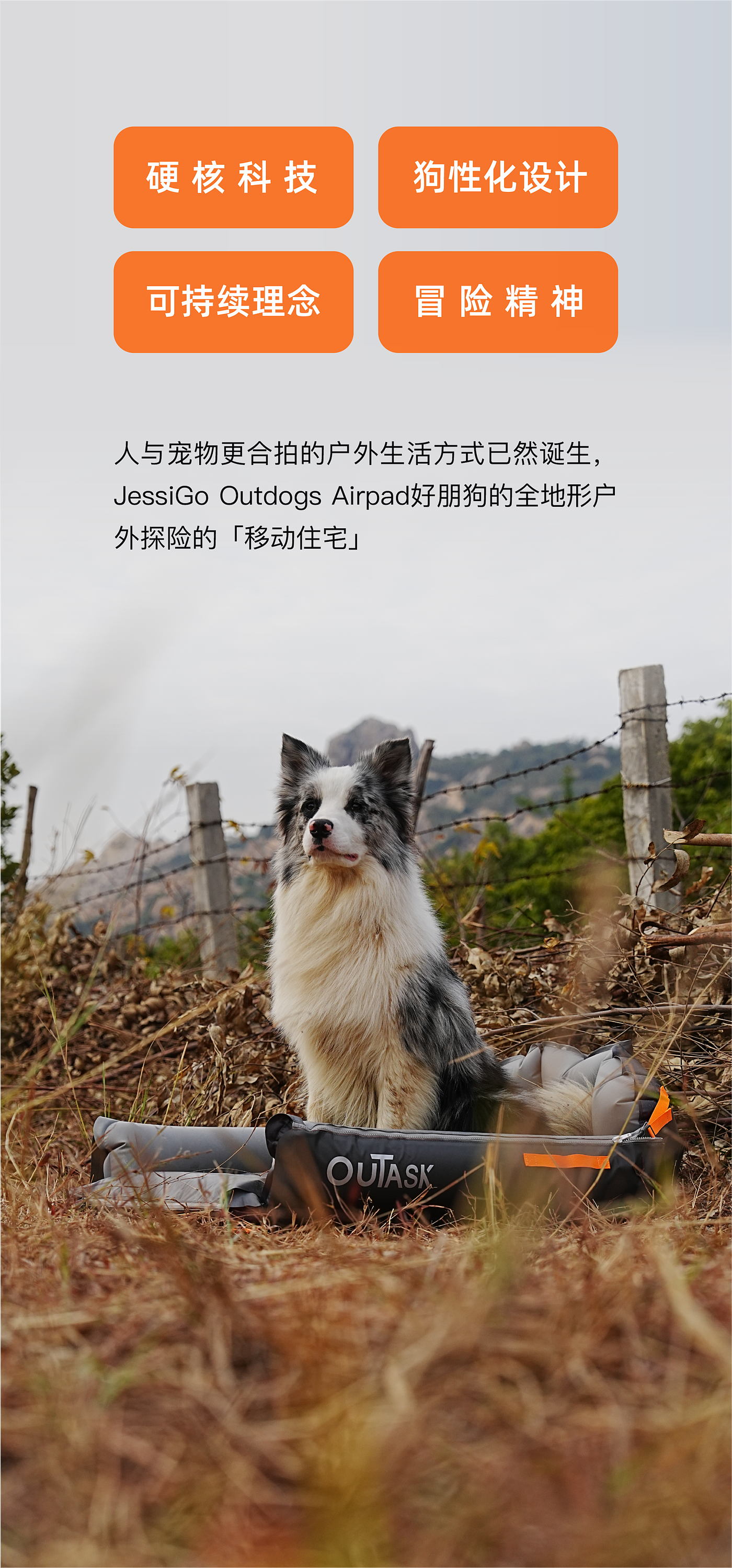 product design，Pet Supplies & Pet，Pet Camping，outdoors，kennel，