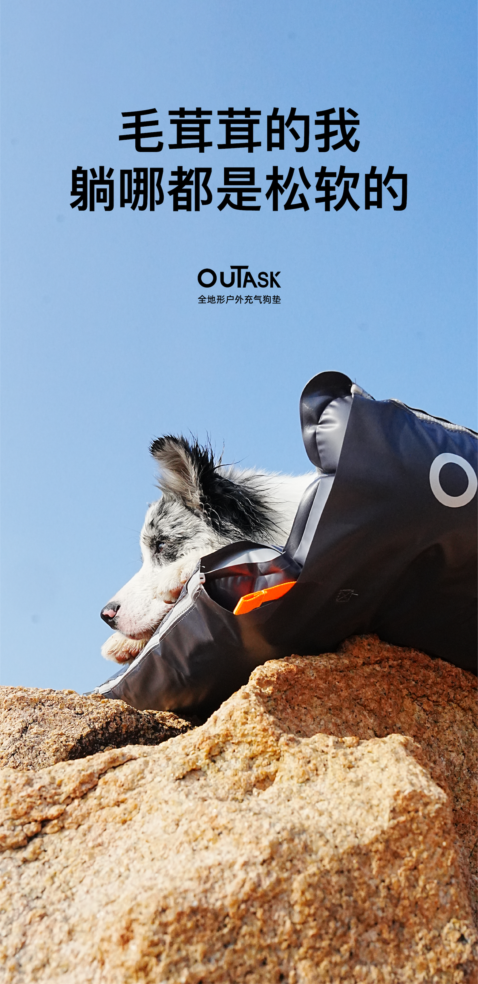 product design，Pet Supplies & Pet，Pet Camping，outdoors，kennel，