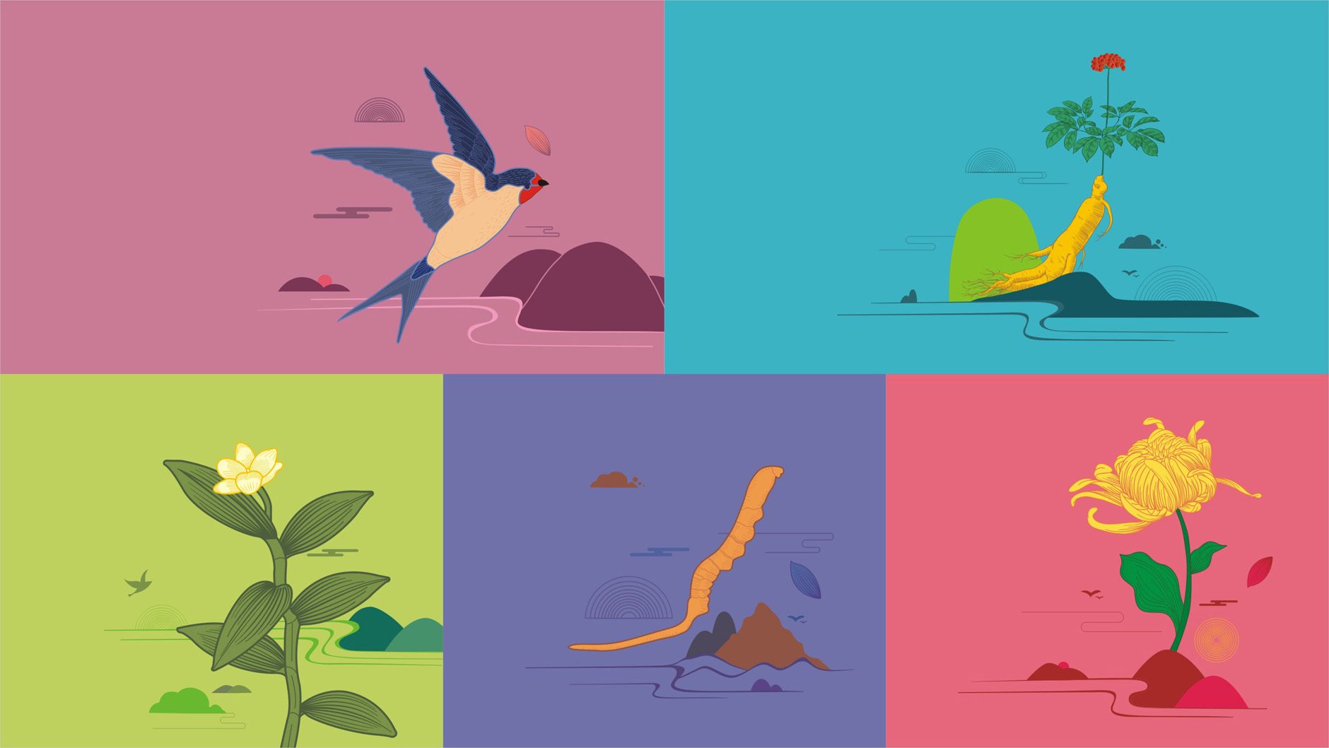 Big pharmacy tonic packaging，Nourishing health care products packaging，Tonic gift box packaging，