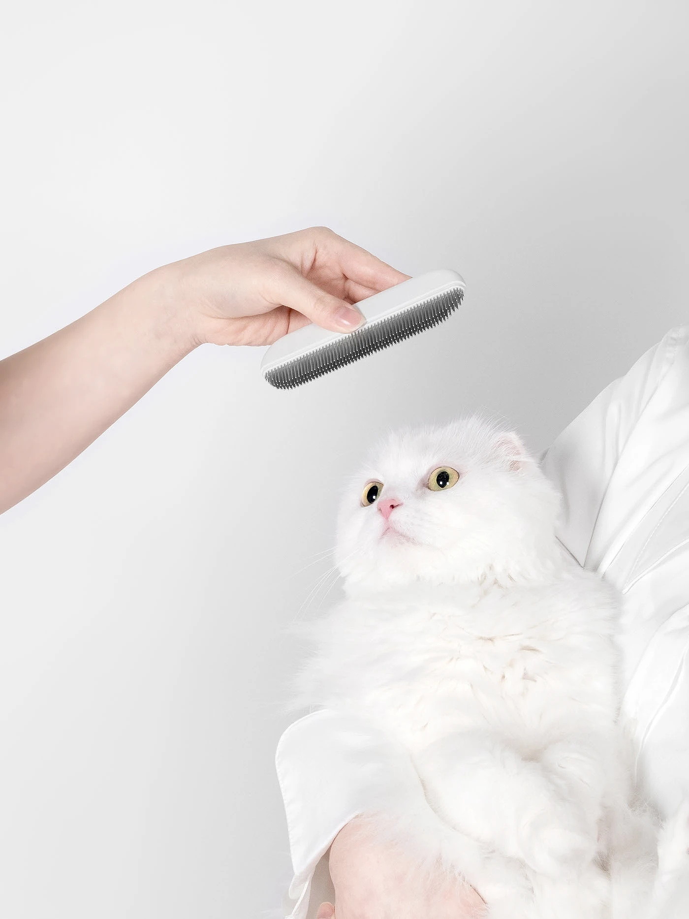 Cat Care suit，Portable storage，Pet Interaction，