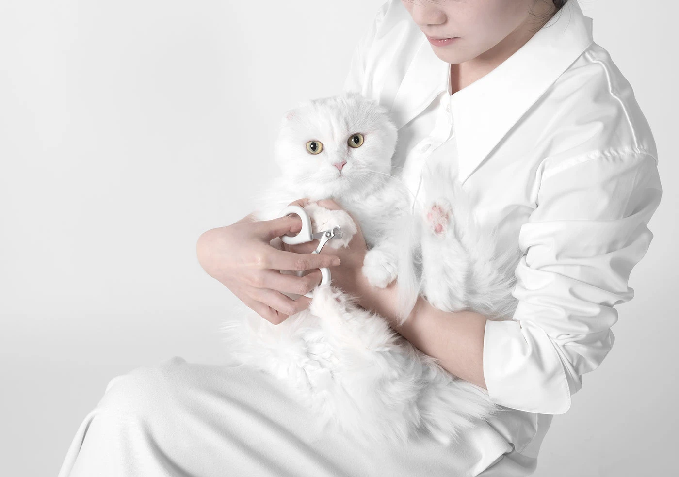 Cat Care suit，Portable storage，Pet Interaction，