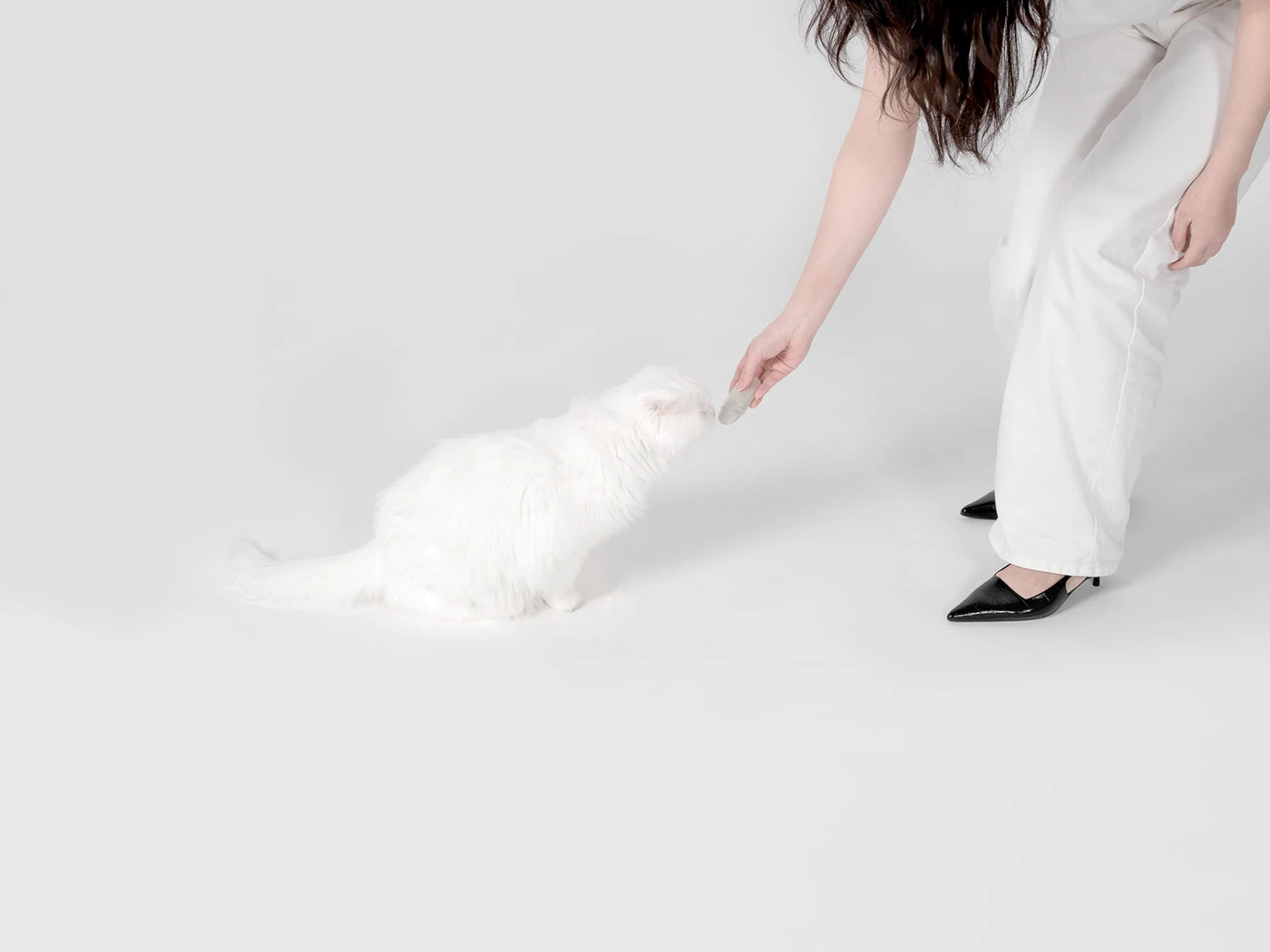 Cat Care suit，Portable storage，Pet Interaction，