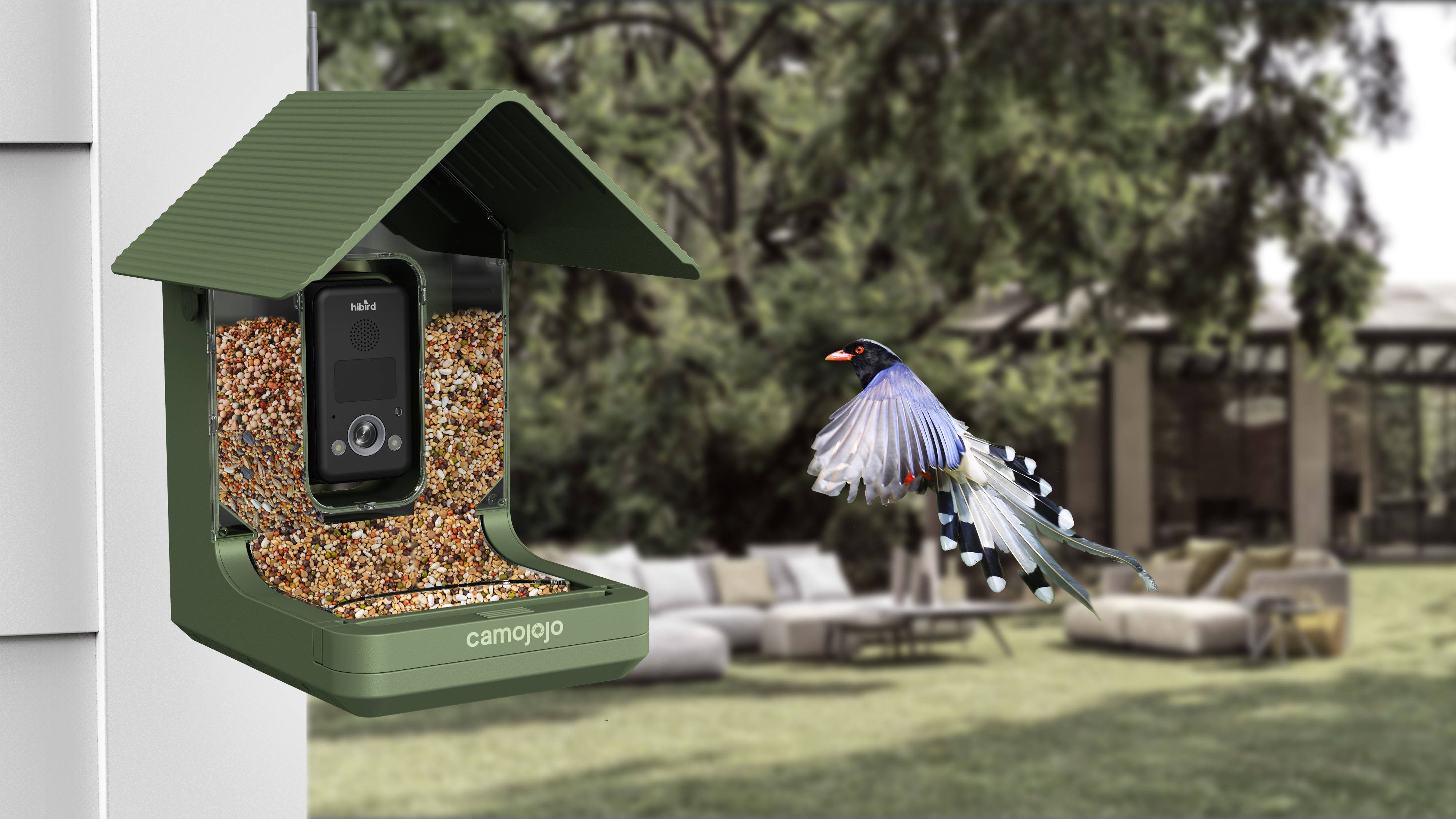 Bird Watching，camera，Infrared Camera，