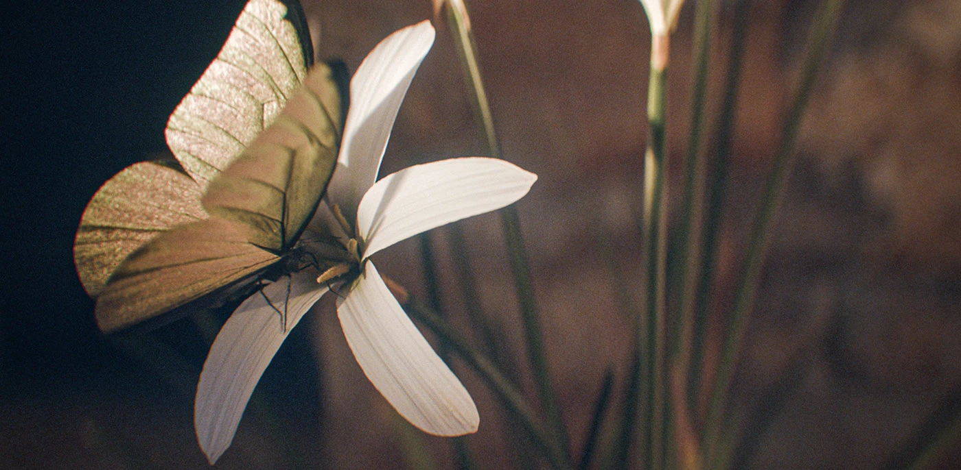 Porsche，Verso l'Azzurro，