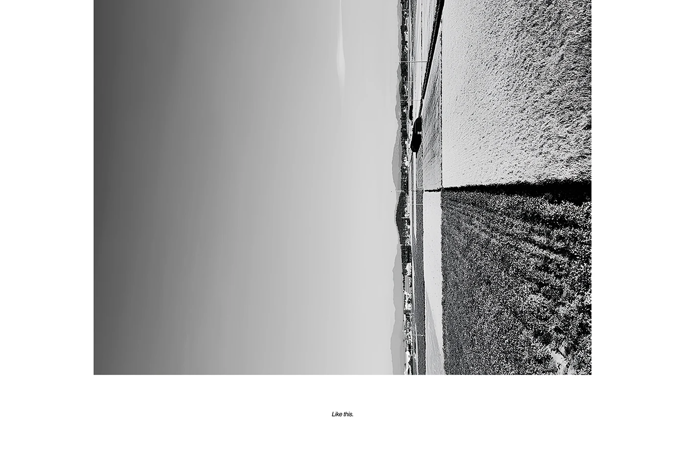 sustainable development，ai，Robot Assisted，Intelligent agriculture，