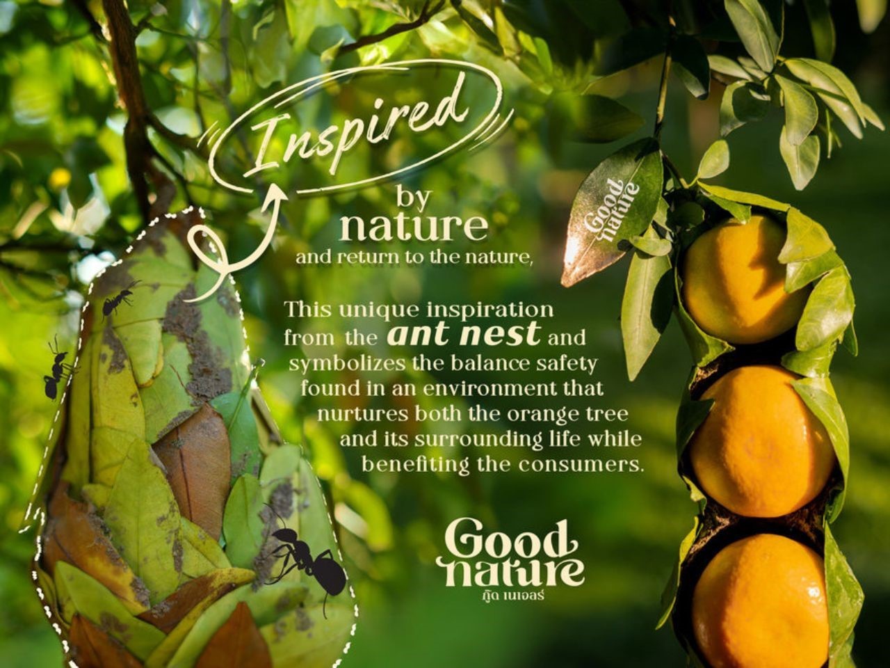 Goodnature，packing，environment protection，biodegradable，