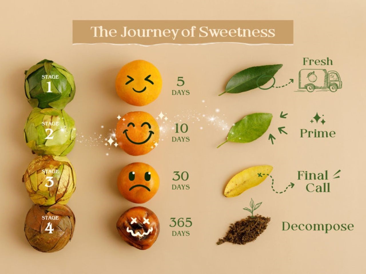 Goodnature，packing，environment protection，biodegradable，