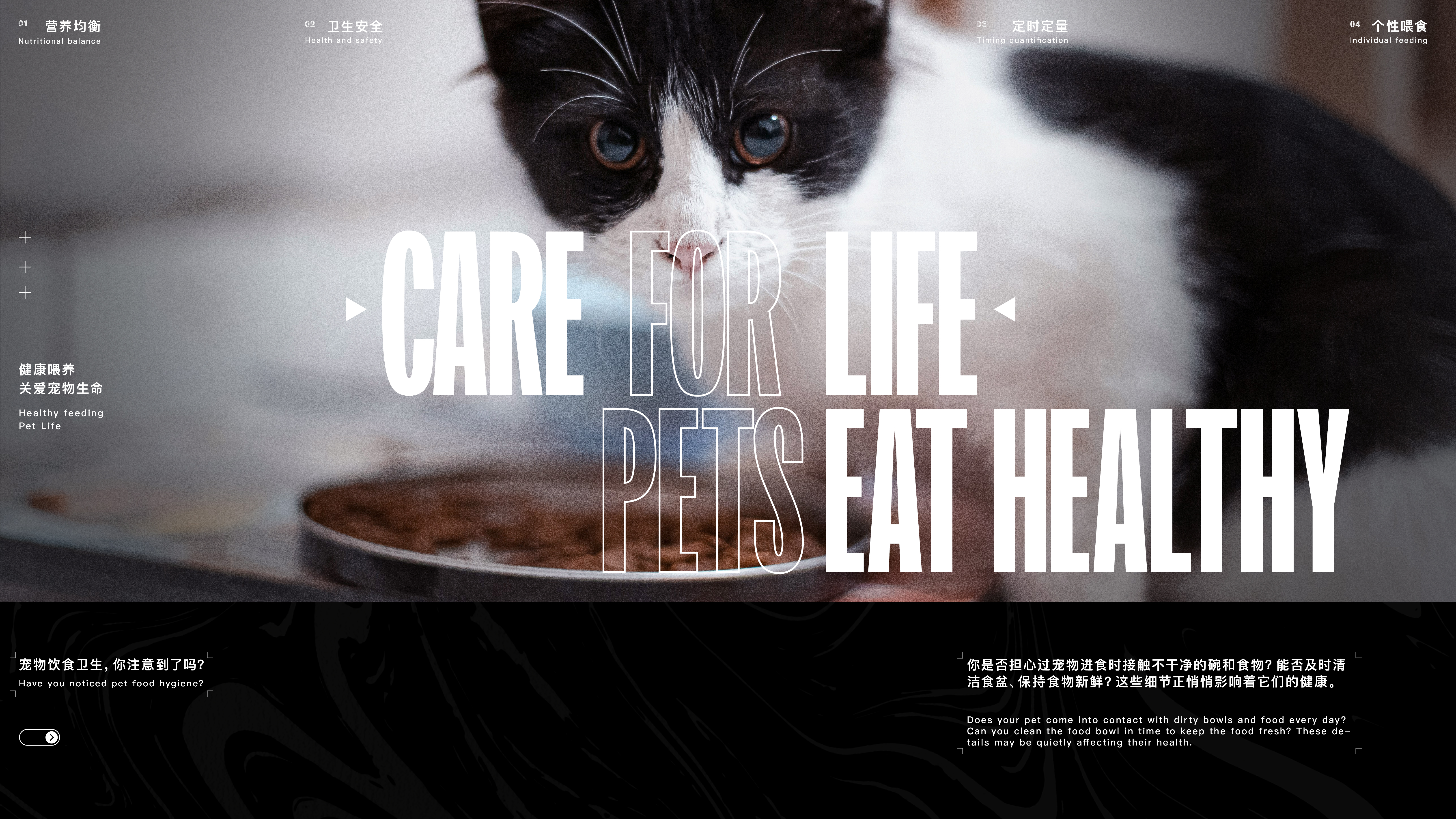 intelligence，Pet feeder，UV sterilization，Insect repellent，architectural art，lighting，