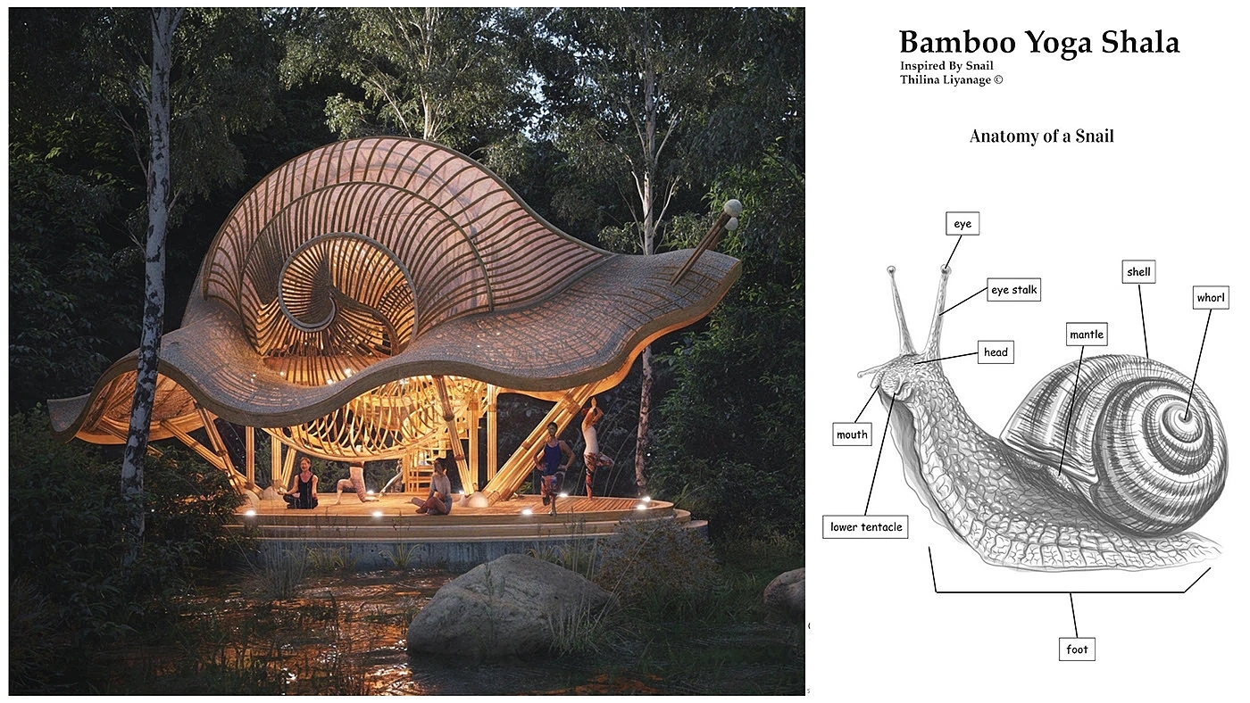 bamboo building，Snail，Yoga Space，Yoga Shala，
