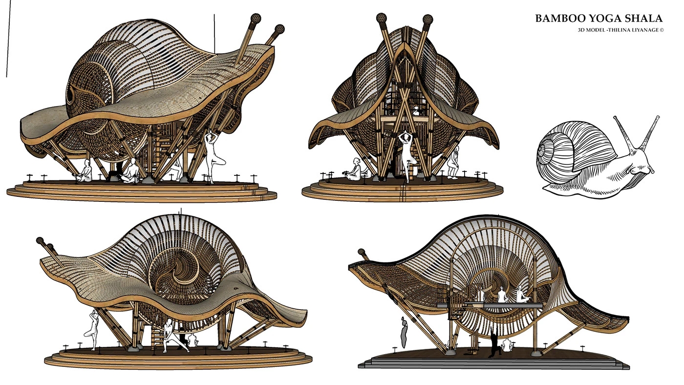 bamboo building，Snail，Yoga Space，Yoga Shala，