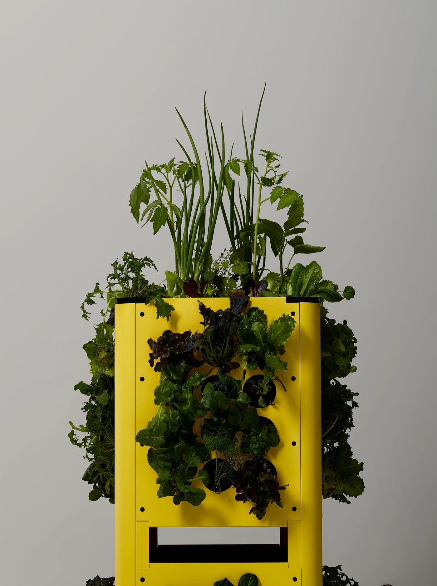 Homefarm，modularization，Planting device，Gardening tools，