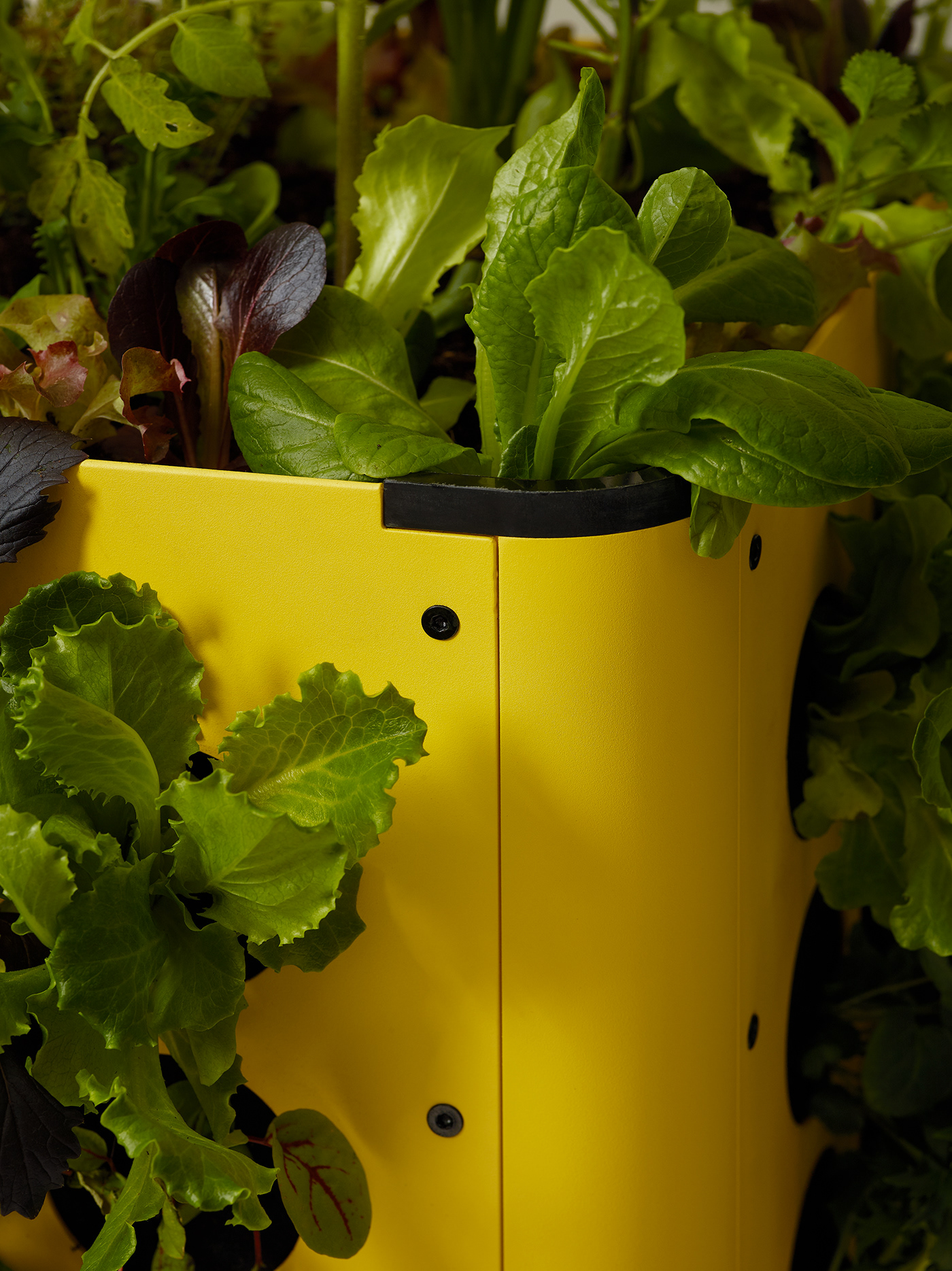 Homefarm，modularization，Planting device，Gardening tools，