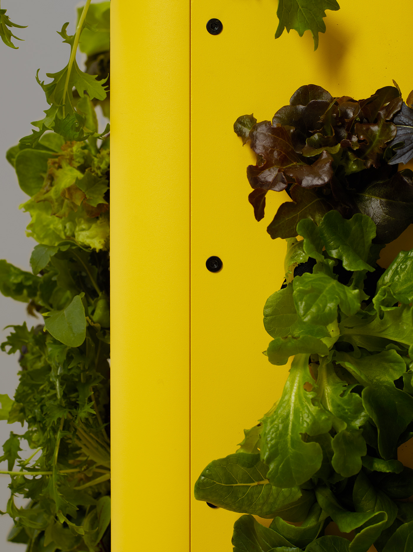 Homefarm，modularization，Planting device，Gardening tools，