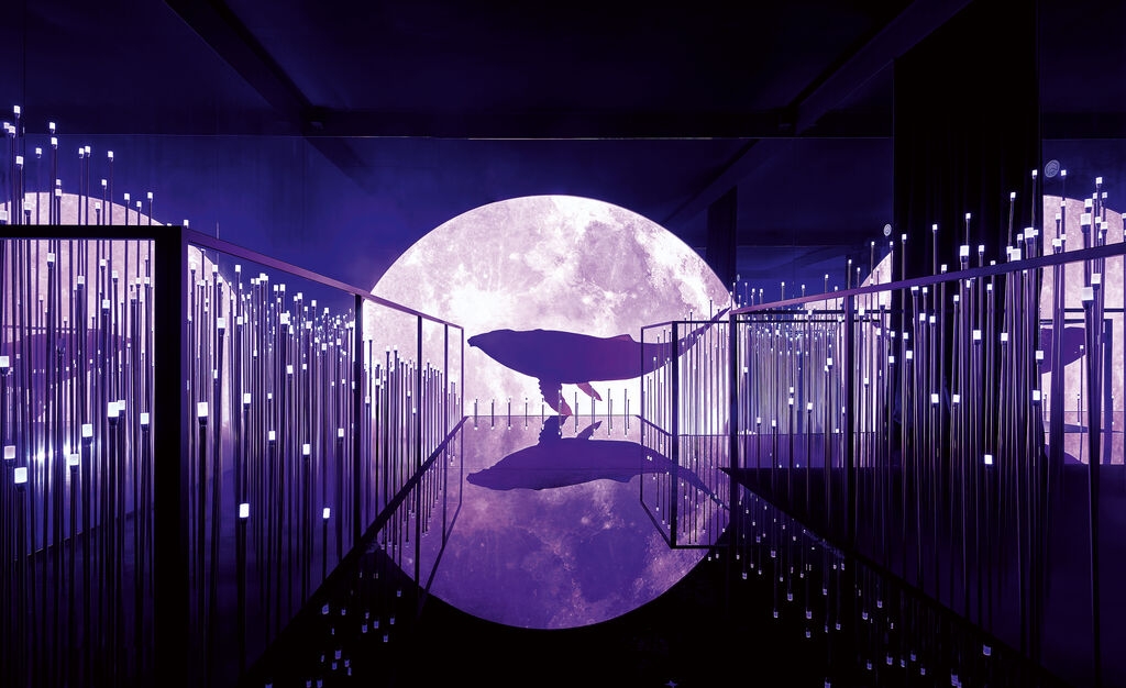 Zhejiang One Point，Shenzhen One Point，One point of consultation，One Point Design，Award declaration，Red dot award，