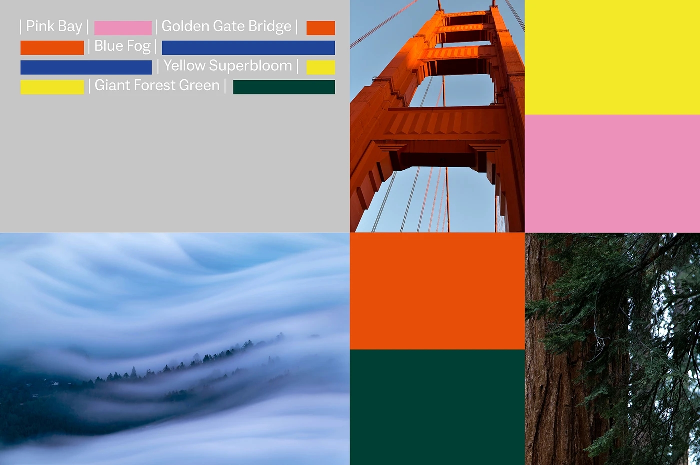 Light Bean，lamps and lanterns，a chandelier，Lighting tools，