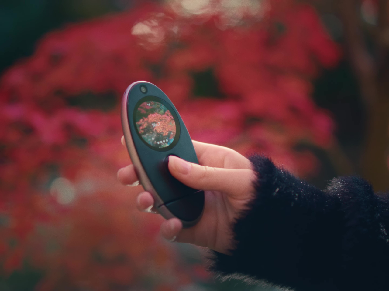 kyu camera，Spotify，Minimalist design ，Deposits，Ergonomics，