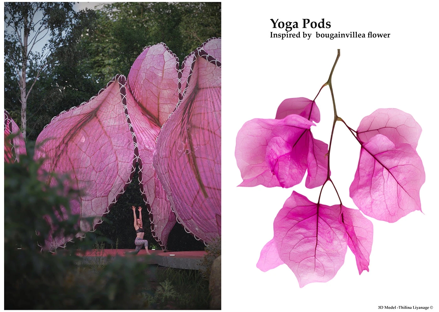 Yoga Studio，Interior design，Architecture，environmental design，