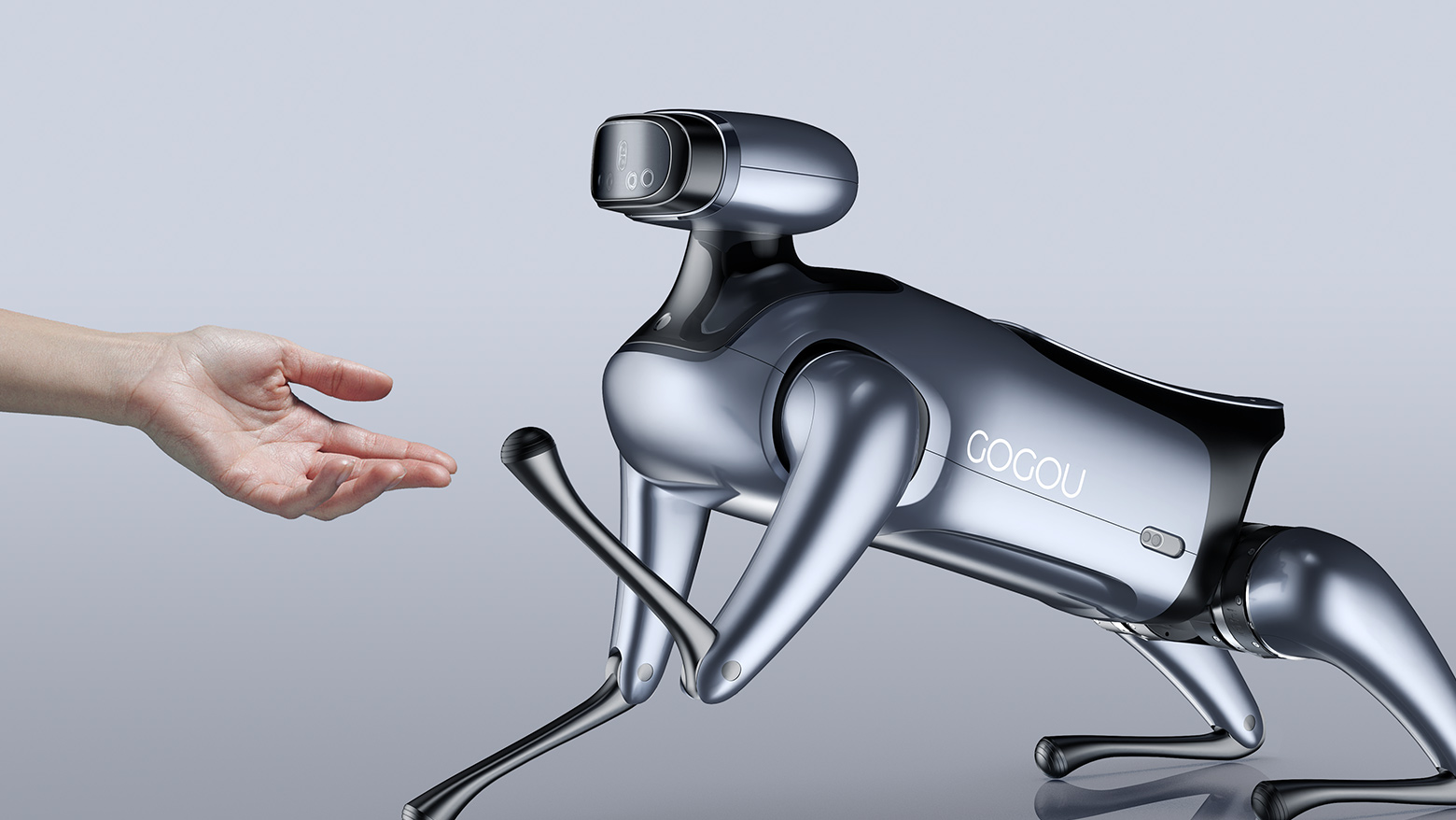 Robot dog，robot，intelligent robot，intelligence，bionics，