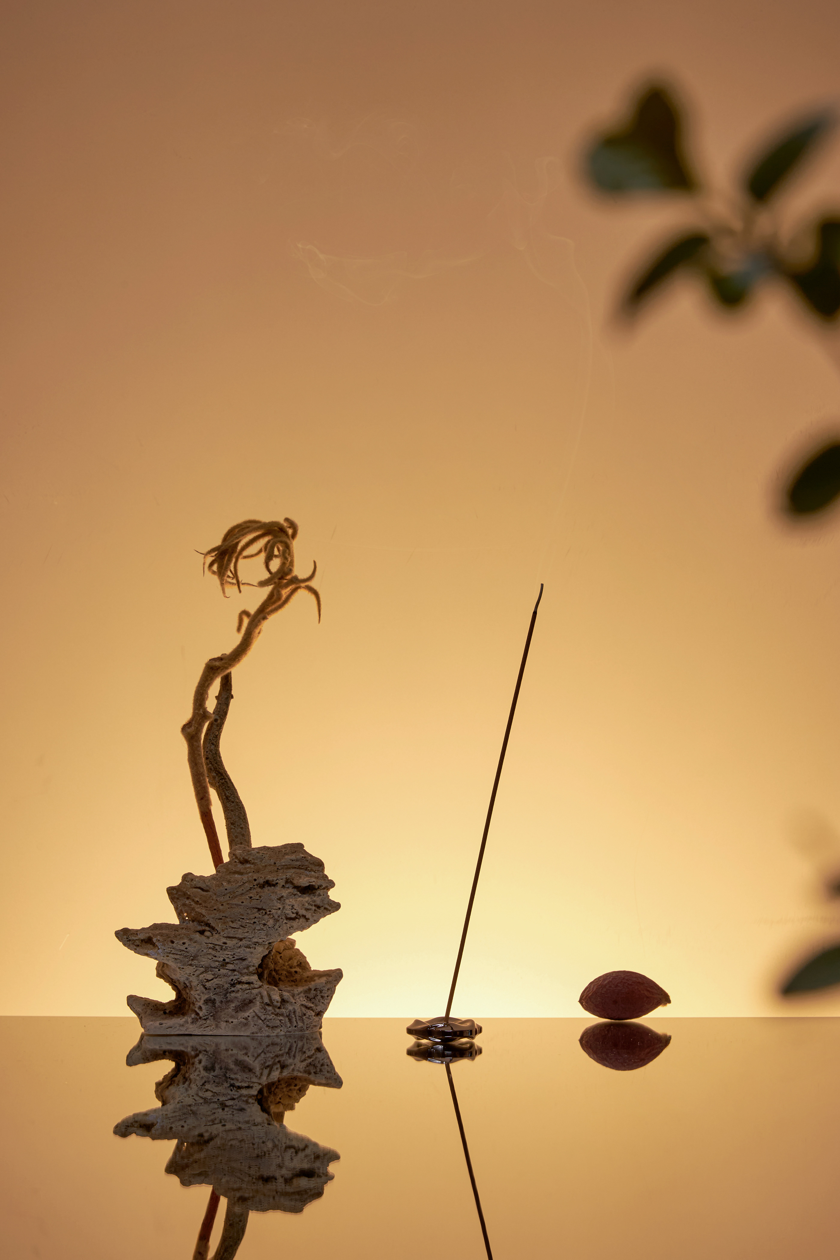 Slow Companion (ManBan)| Natural Chinese Line Fragrance，