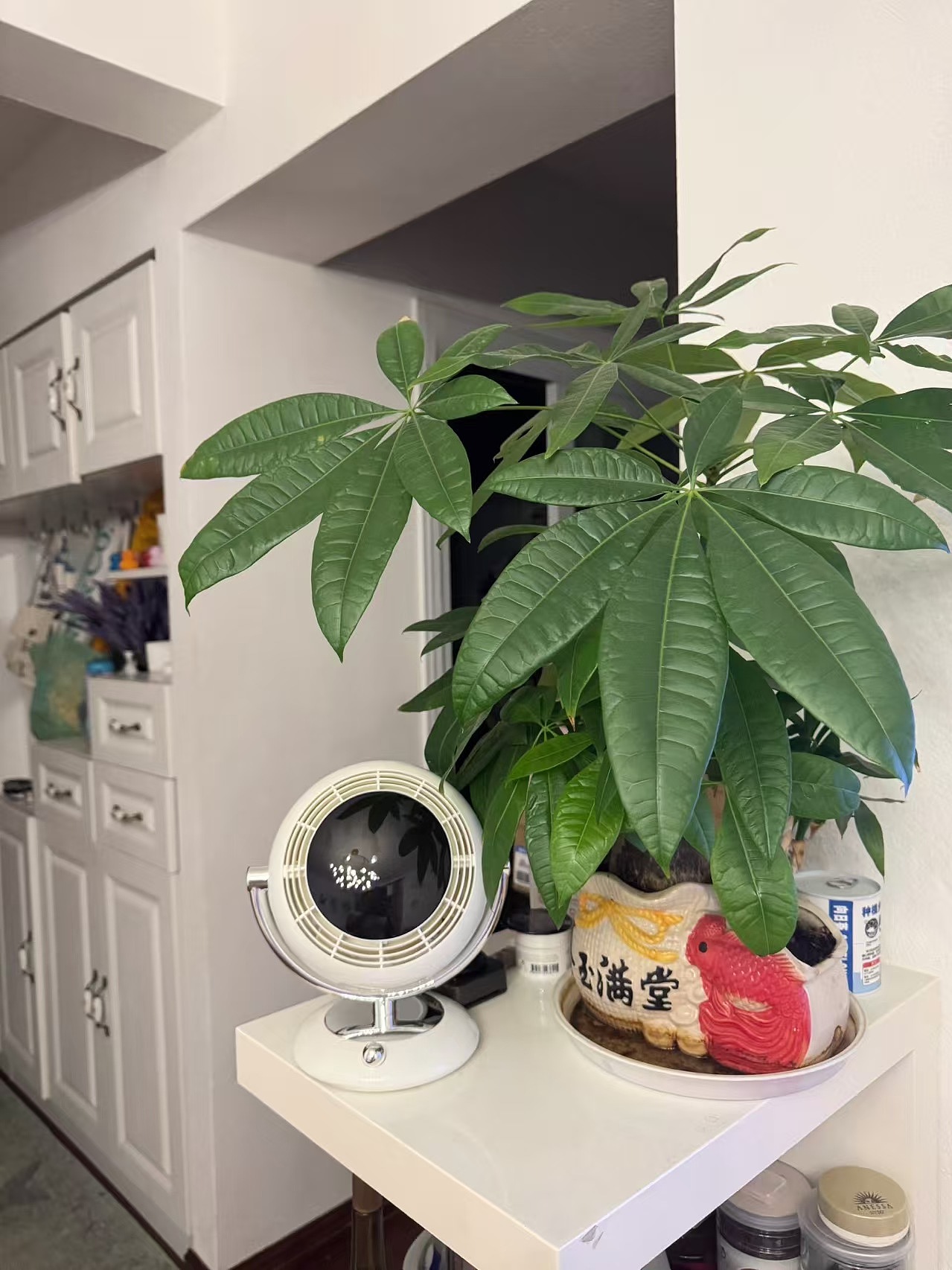 Fan, desktop fan，