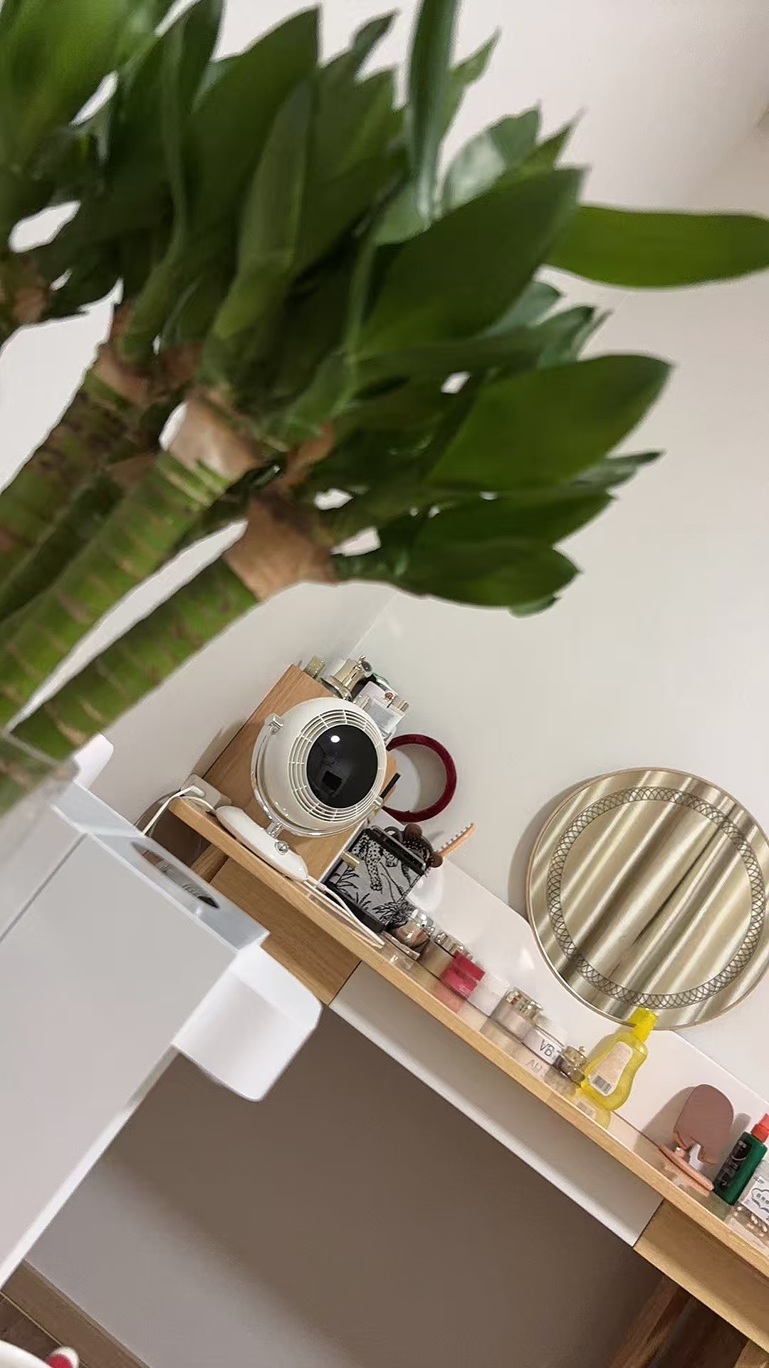 Fan, desktop fan，