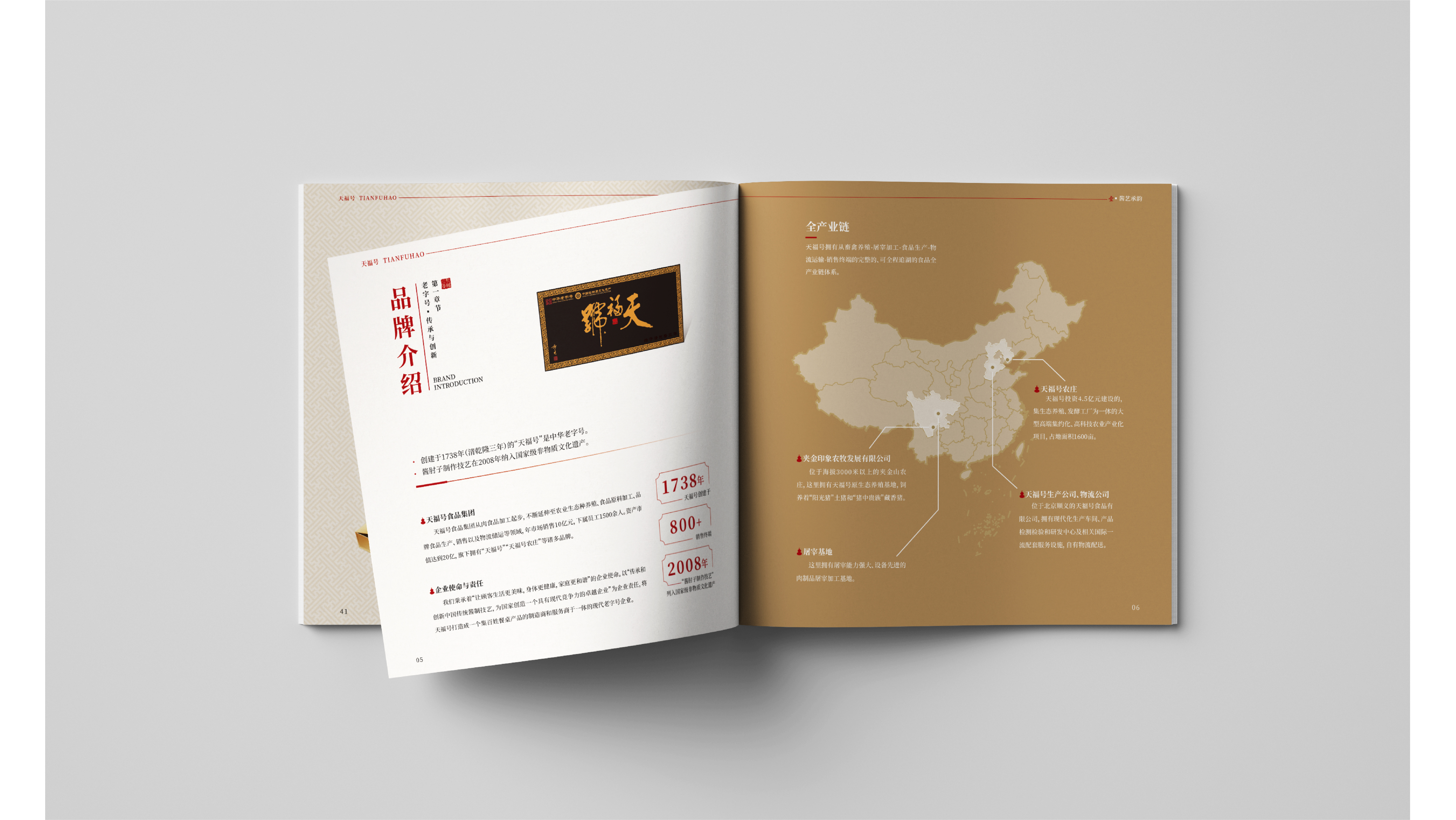 Brand Album，Brand Brochure，Brochure Design ，Brochure design，