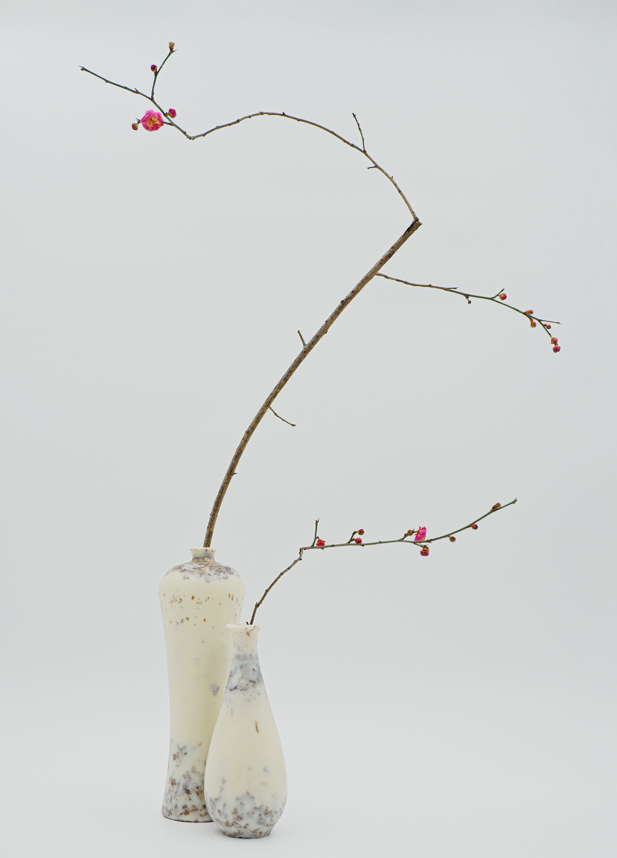 Golden Reed Industrial Design Award，Nomination Award，Cultural creativity，Concept Group，