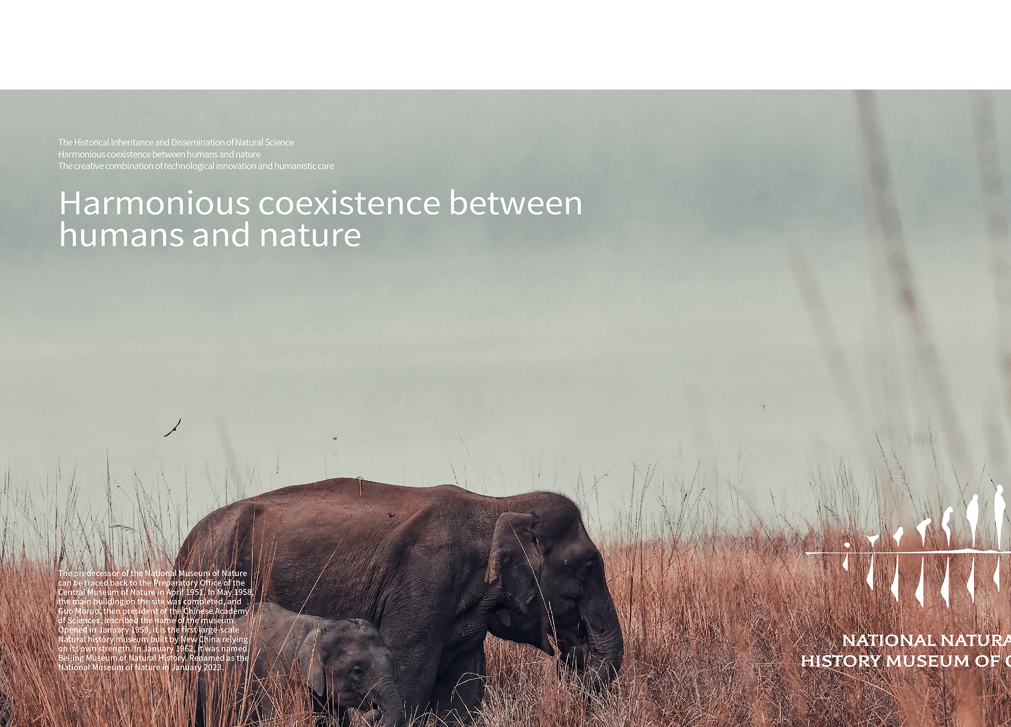 Golden Reed Industrial Design Award，Nomination Award，Communication Design Class，Concept Group，