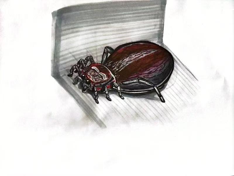 Personal direction，