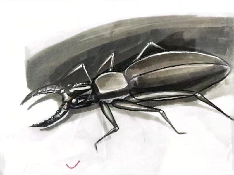 Personal direction，