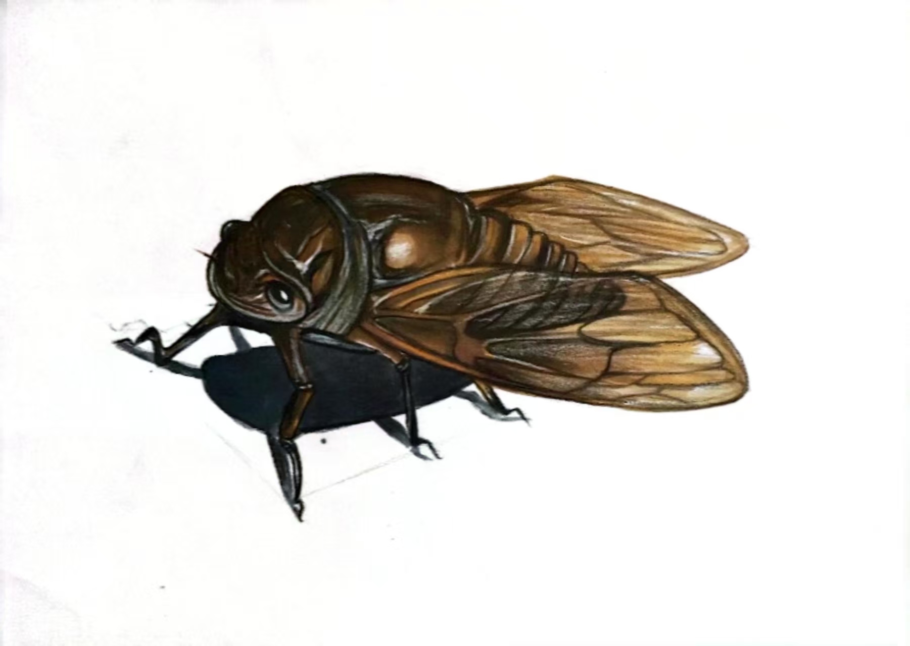 Personal direction，