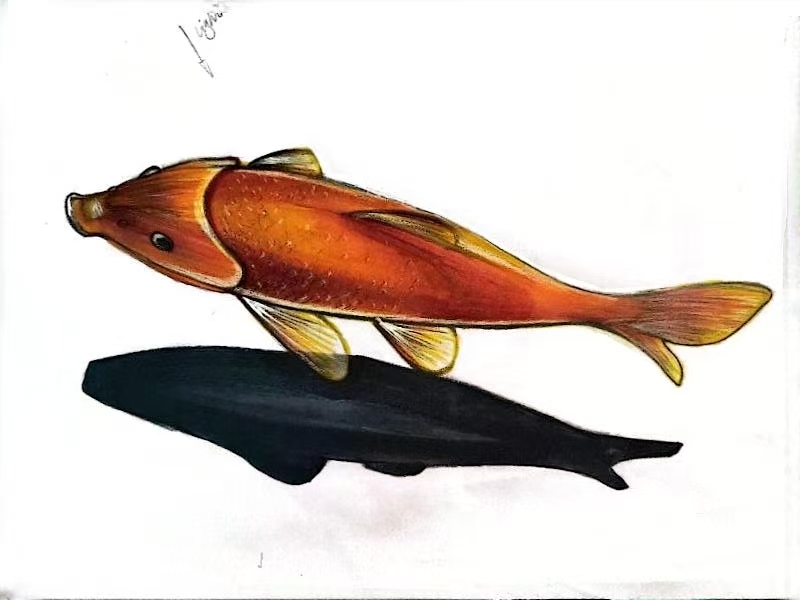 Personal direction，