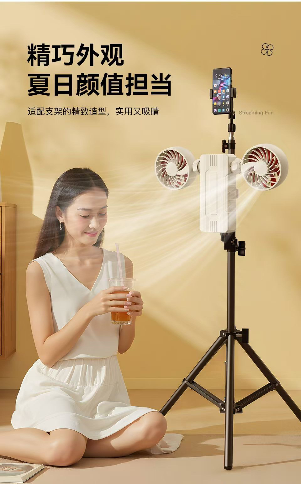 Outdoor live power supply fan，