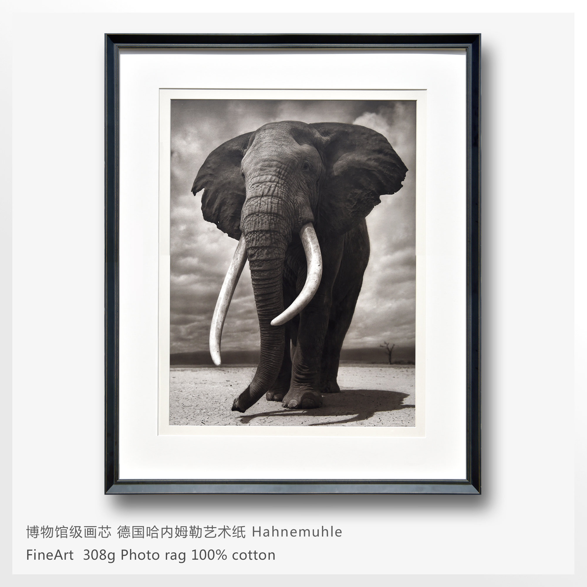 architectural space ，Interior design，Art，Photography，