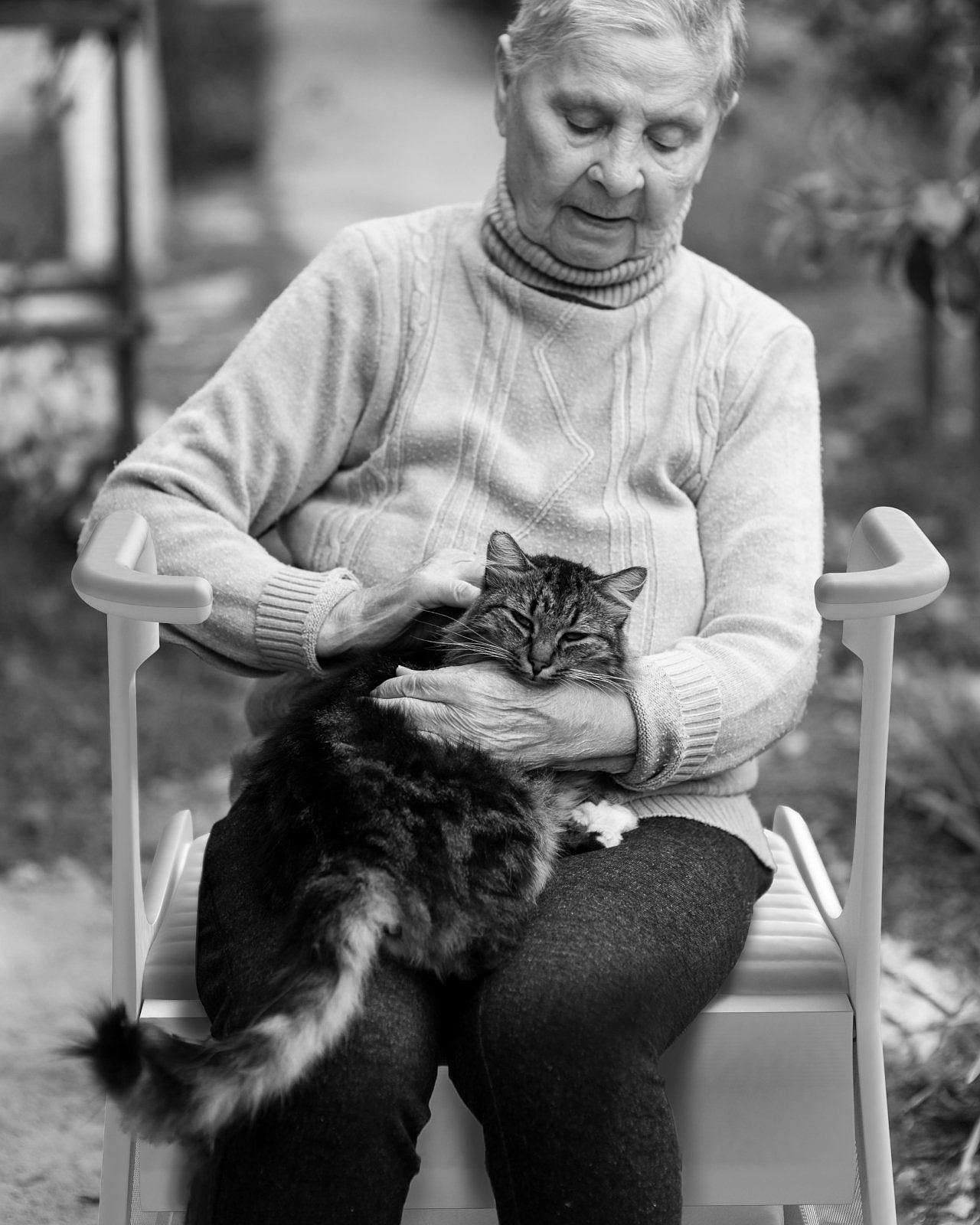 TOOS，Walking aid，Pet carrier，Travel for the elderly，