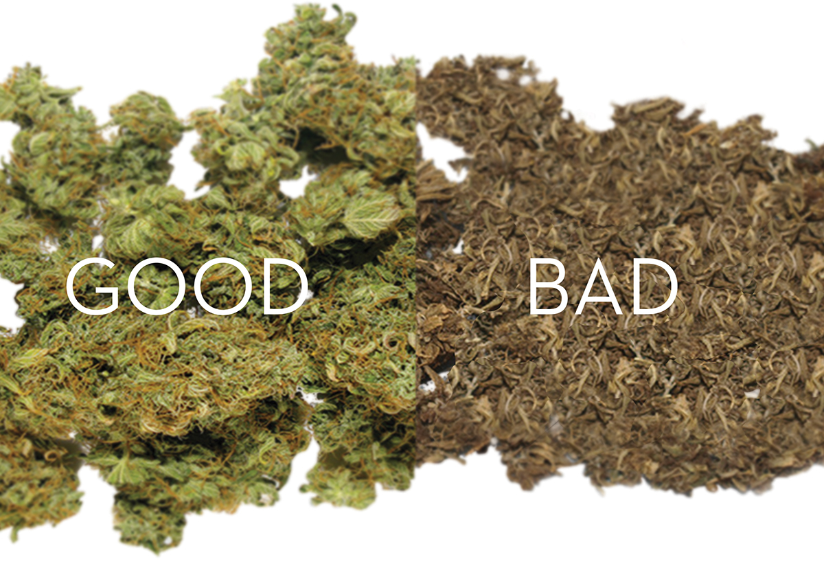 Greenskeeper，Storage Tank，Preservation，product design，