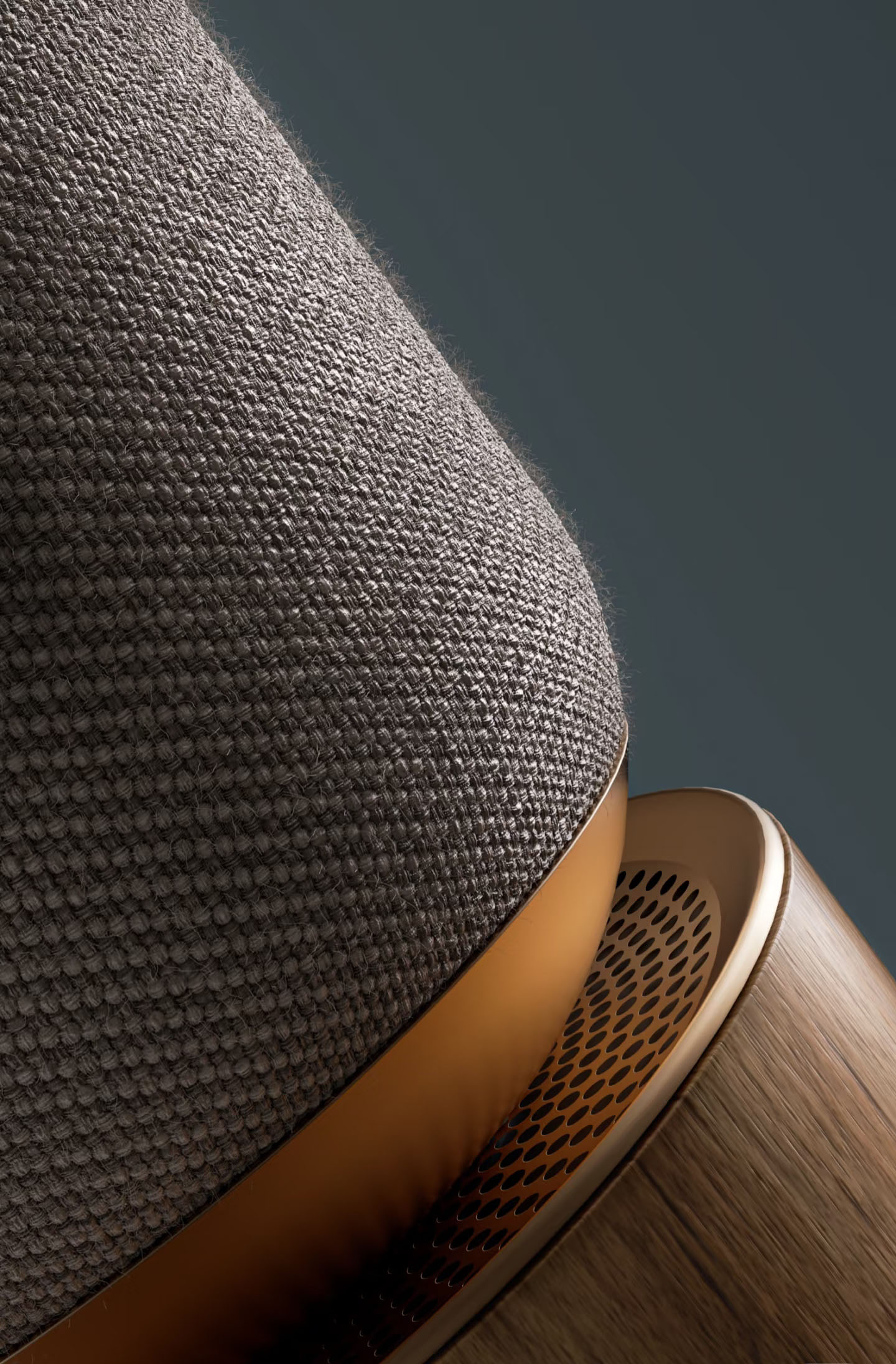 Speaker Rendering and Animation，