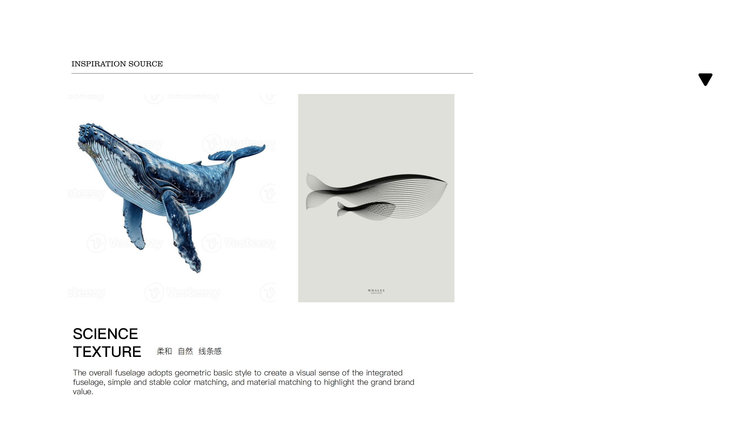 oral irrigator，Hand held tooth punch，Professional water floss，