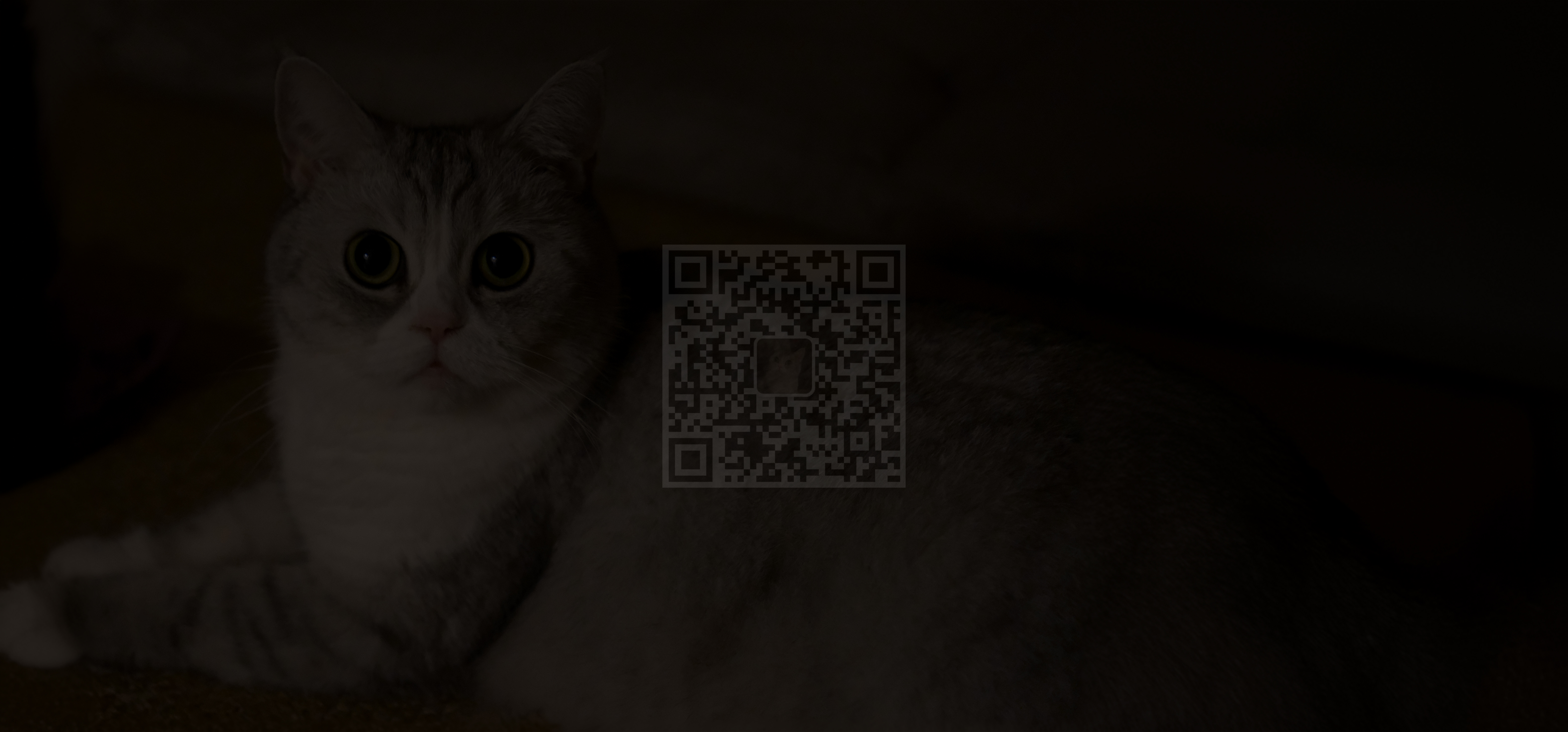 Gehu，hair drier，Pursuit，Dyson，Leifen，industrial design，product design，Portable，