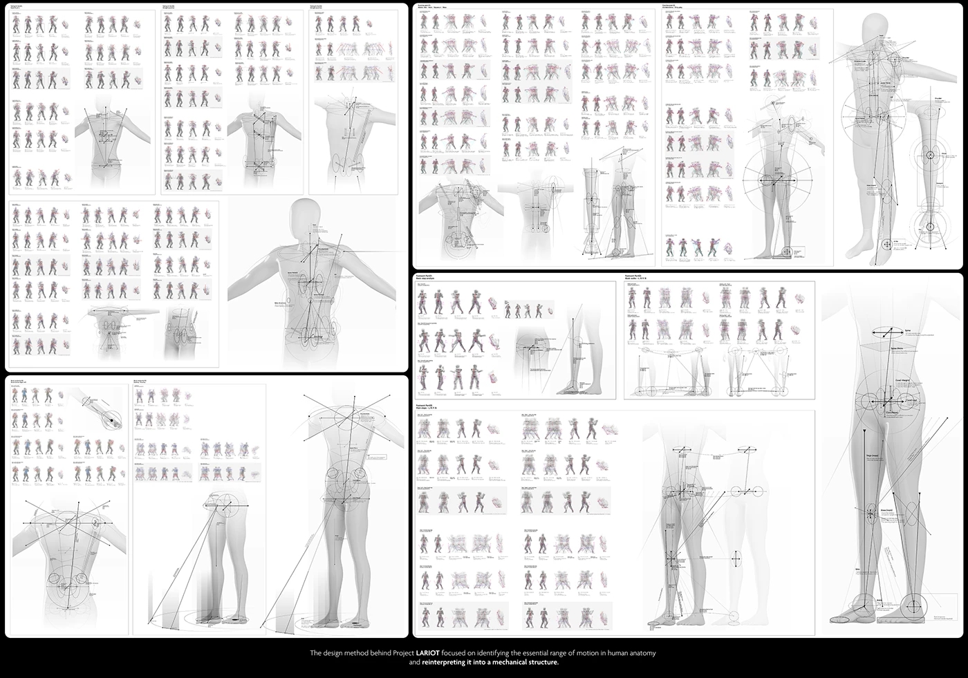 LARIOT，robot，Boxing，anatomy，