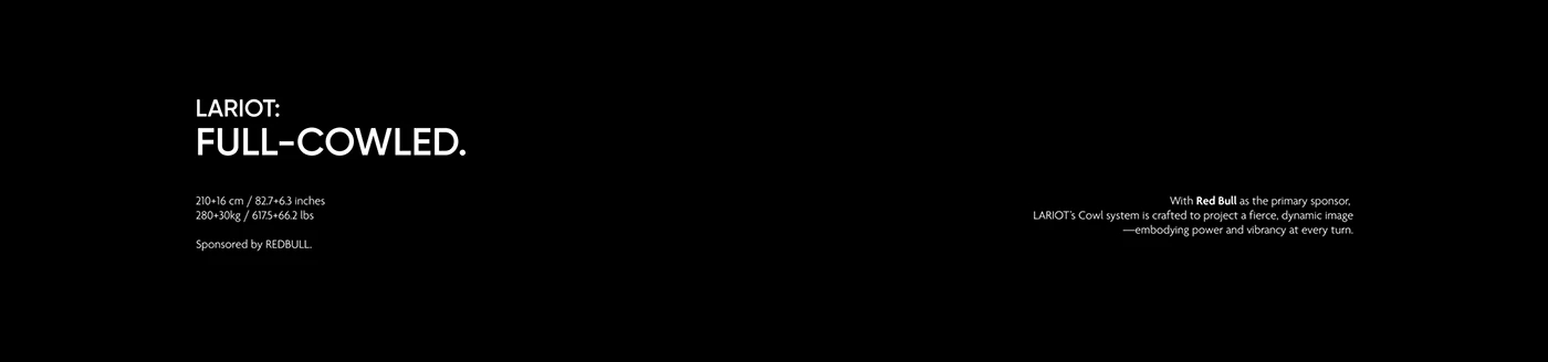 LARIOT，robot，Boxing，anatomy，