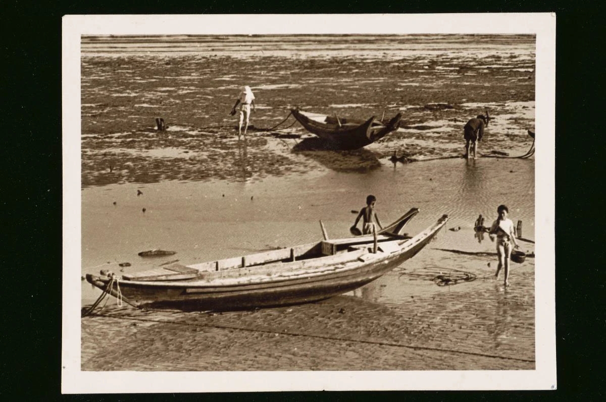 Sampan Bench，Multi element，Public seat，outdoors，Tembusu，