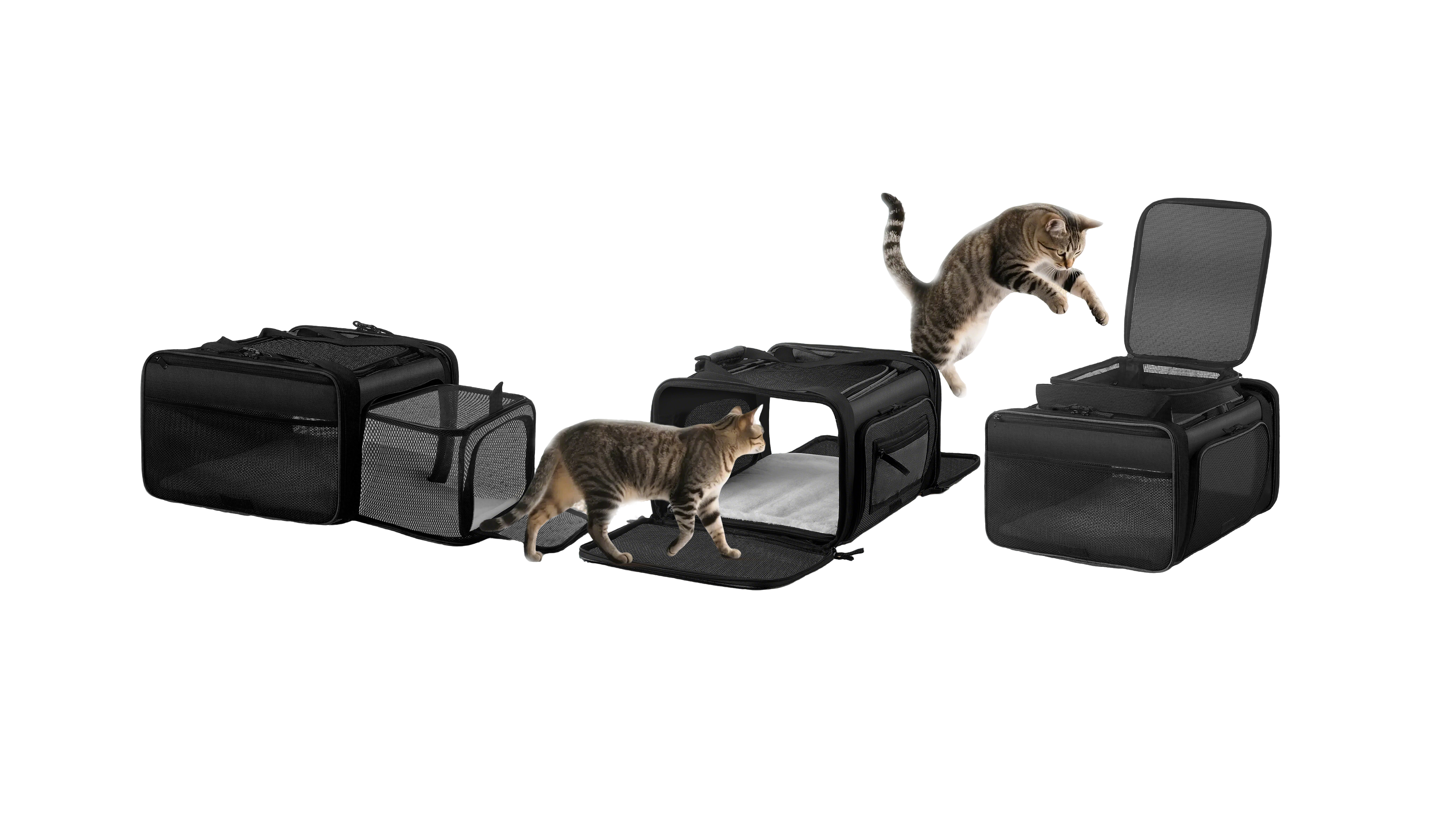 Pet travel bag, pet bag, pet travel，