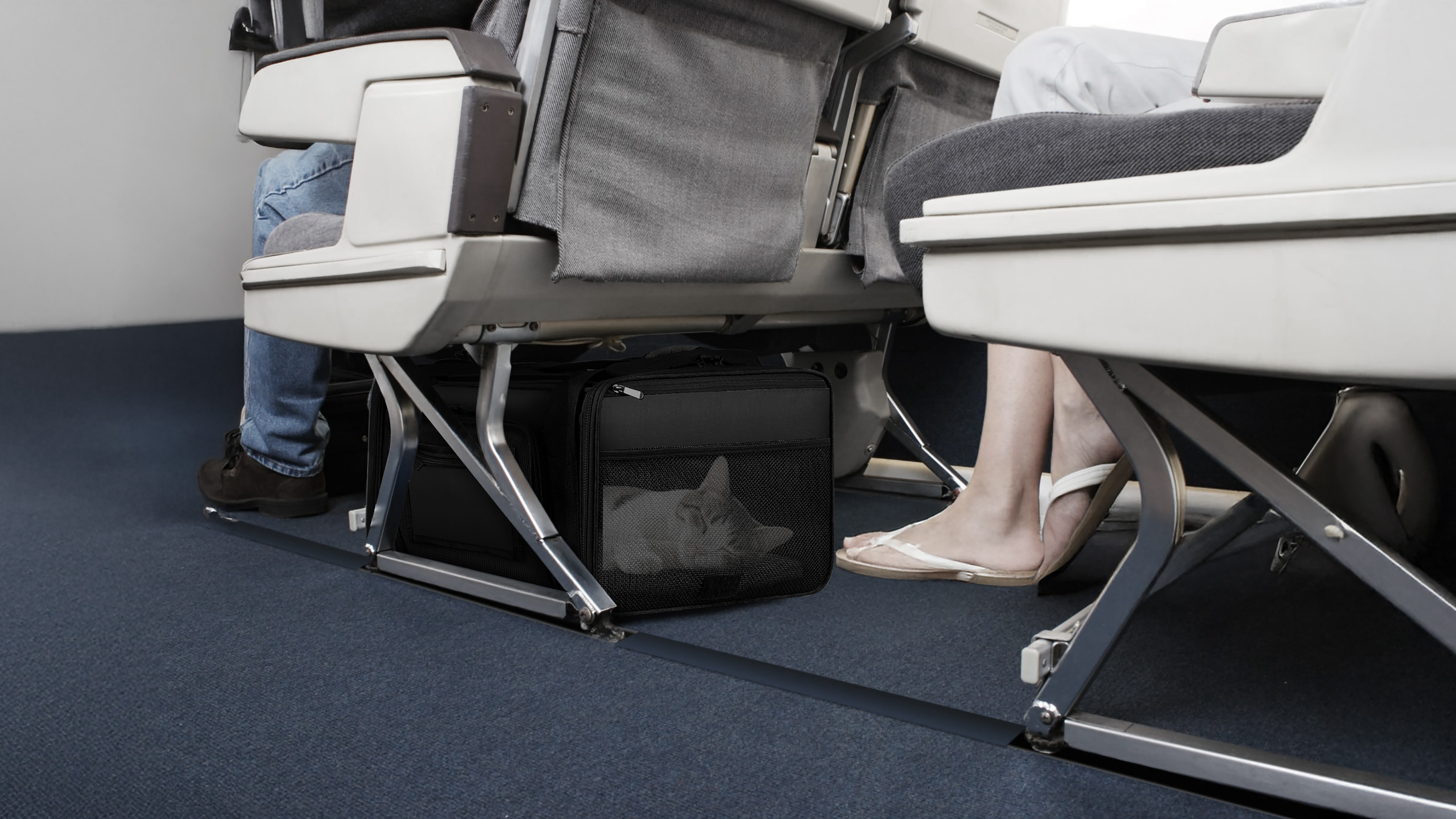 Pet travel bag, pet bag, pet travel，